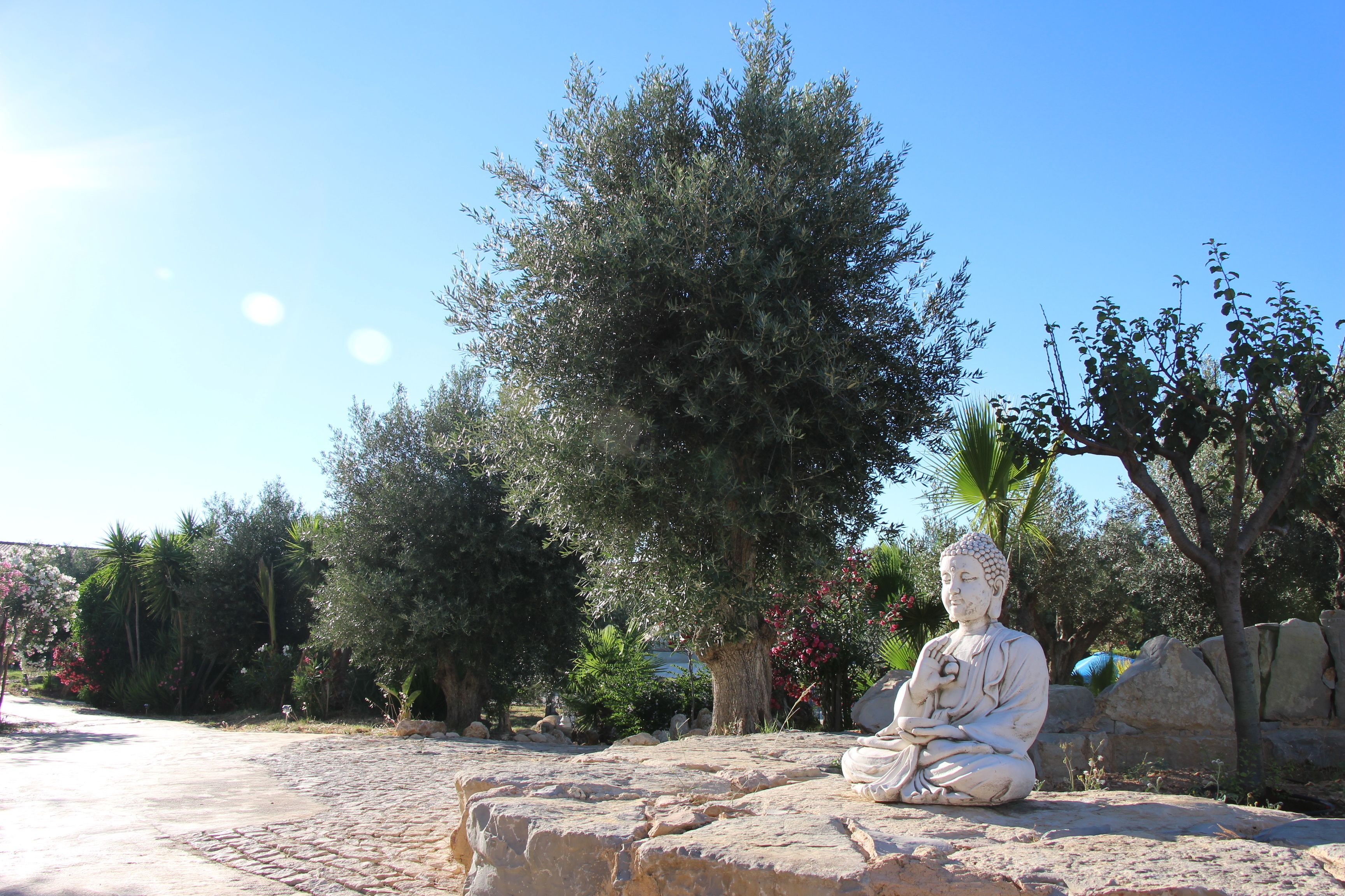 A Buddha statue on a stone platform surrounded by trees and rocks.