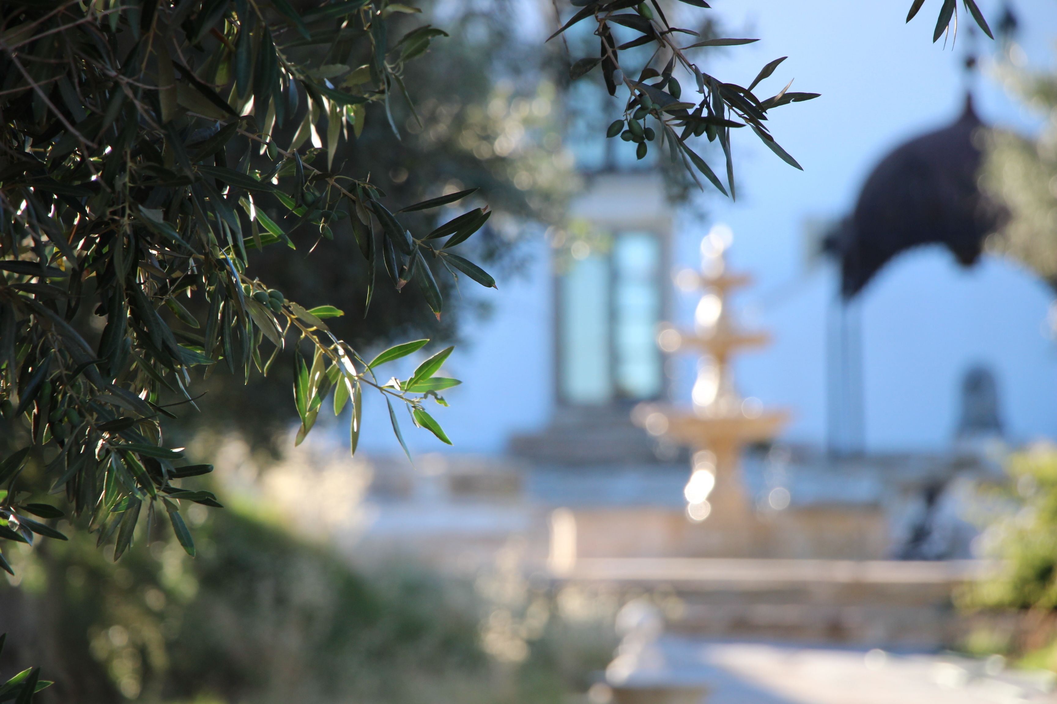 A fountain with water features, surrounded by greenery and a clear sky.
