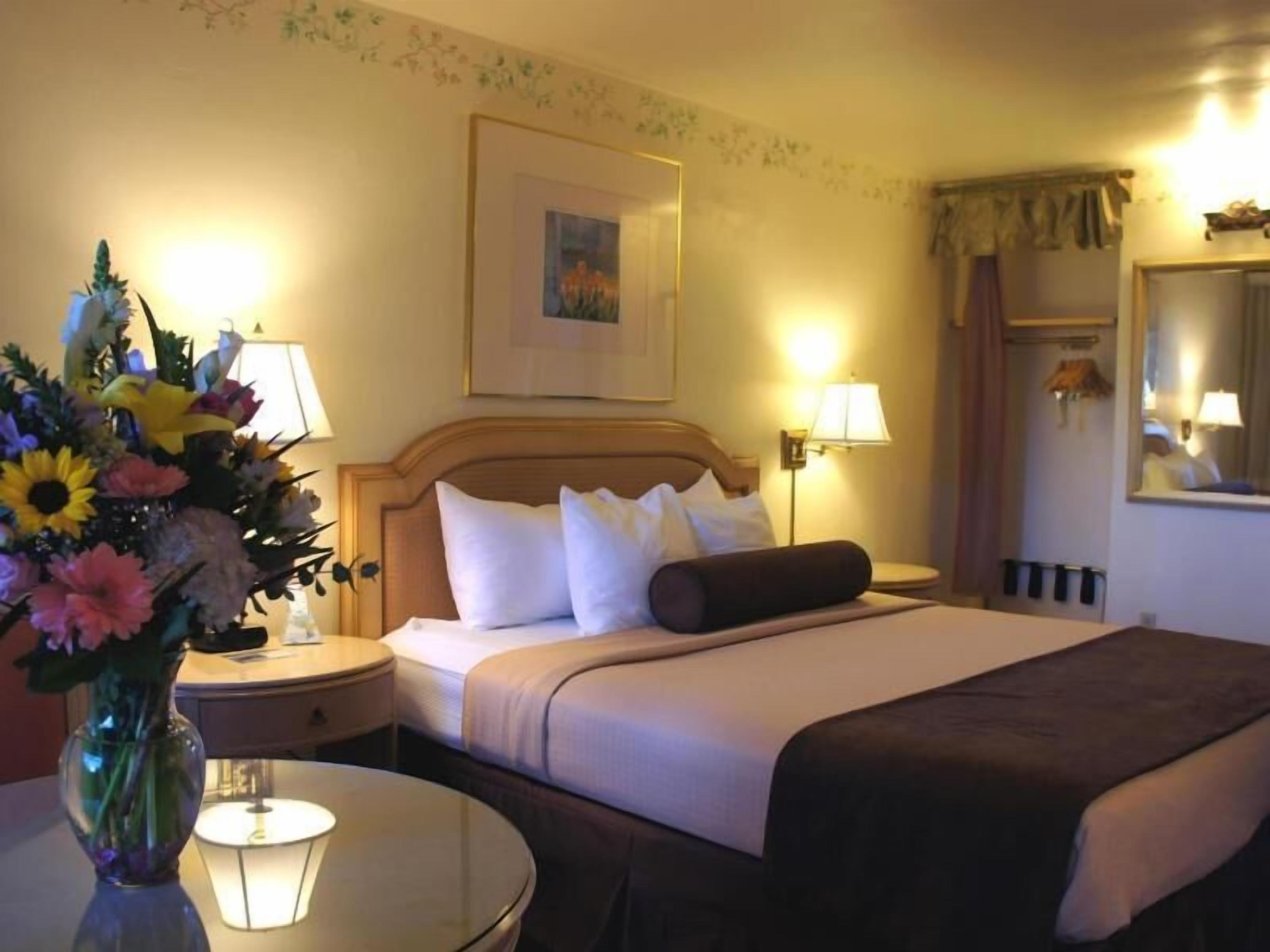 In-room safe, desk, iron/ironing board, free WiFi