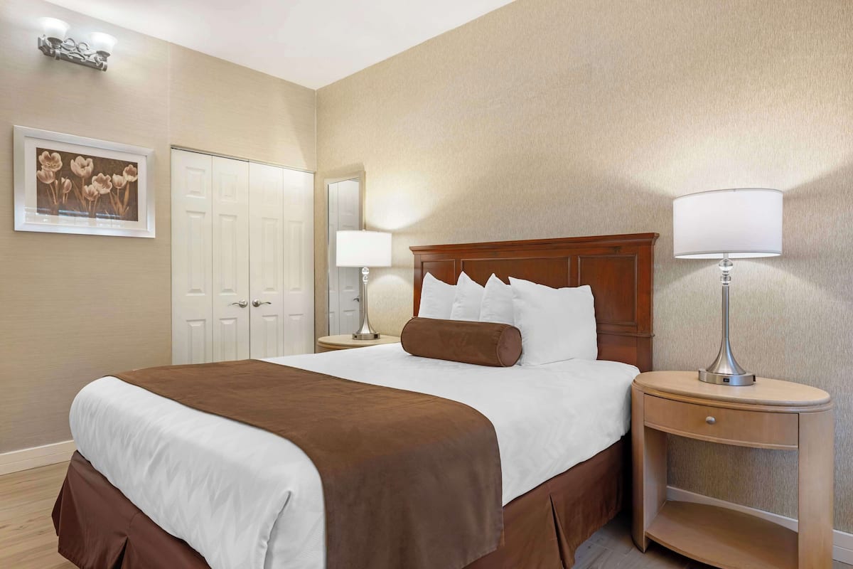 Standard Room, 1 Queen Bed, Accessible, Non Smoking | In-room safe, desk, iron/ironing board, free WiFi