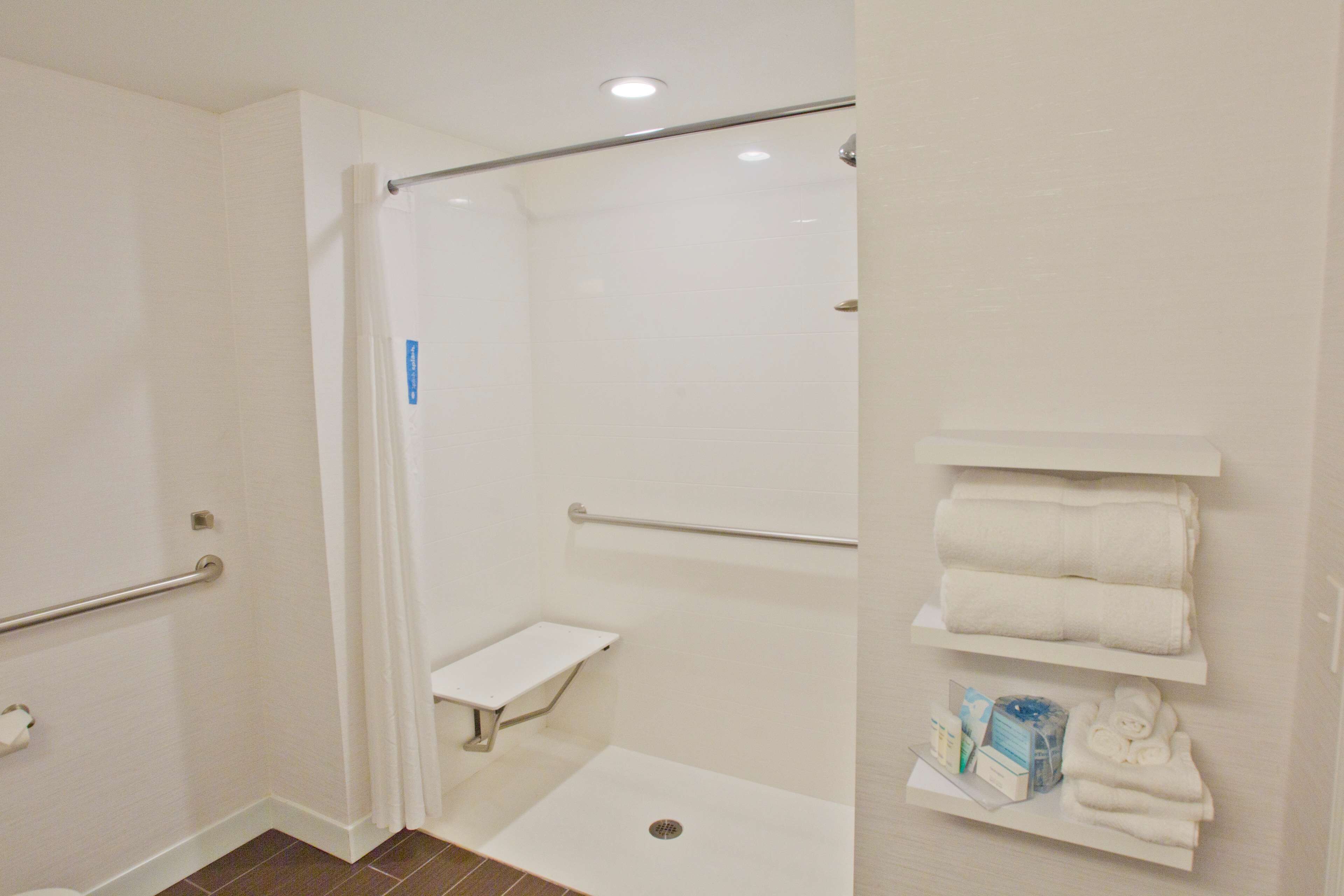 room, 1 king bed, accessible, non smoking | bathroom shower