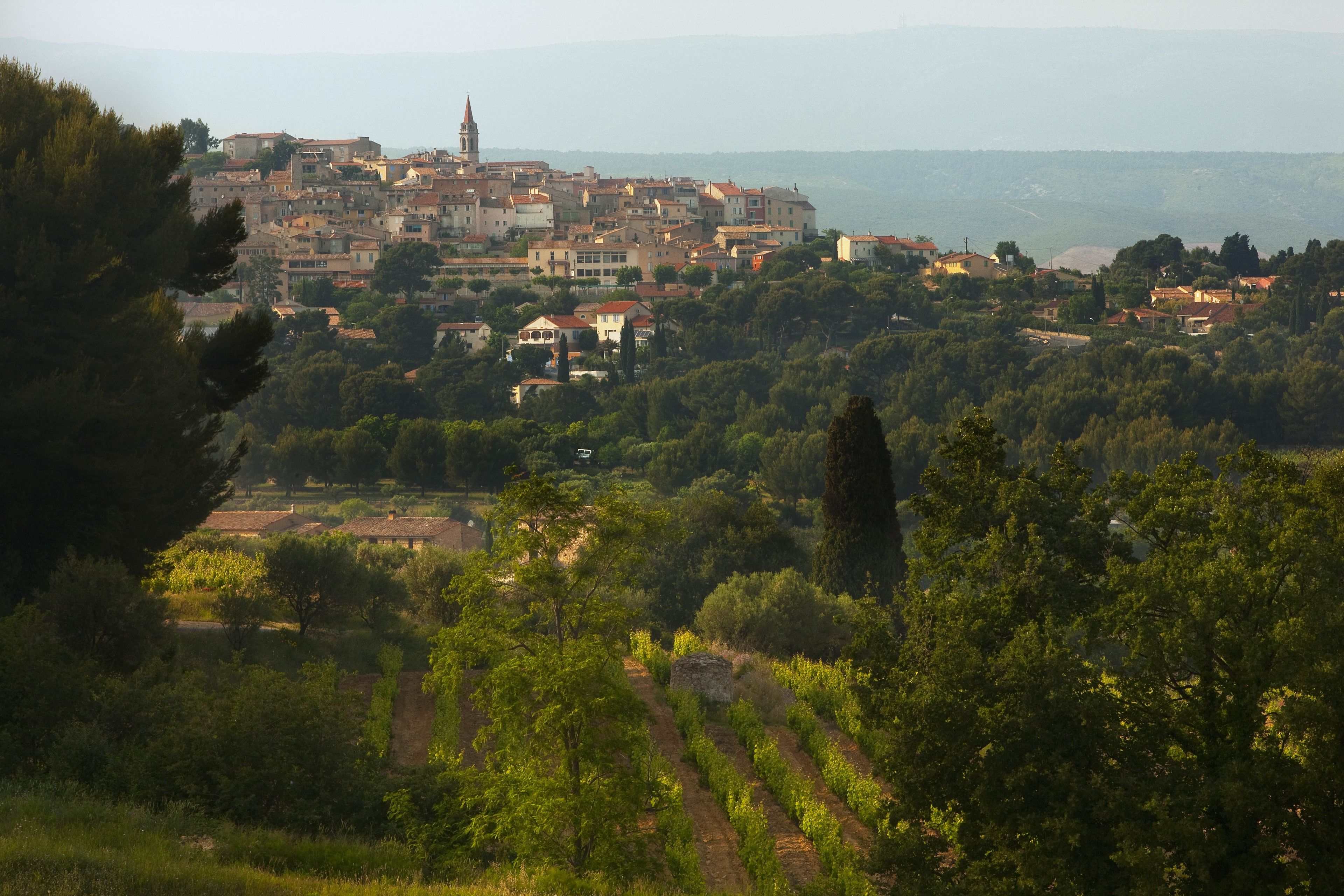 A town with buildings, a church, and vineyards.