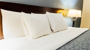 Iron/ironing board, free WiFi, bed sheets