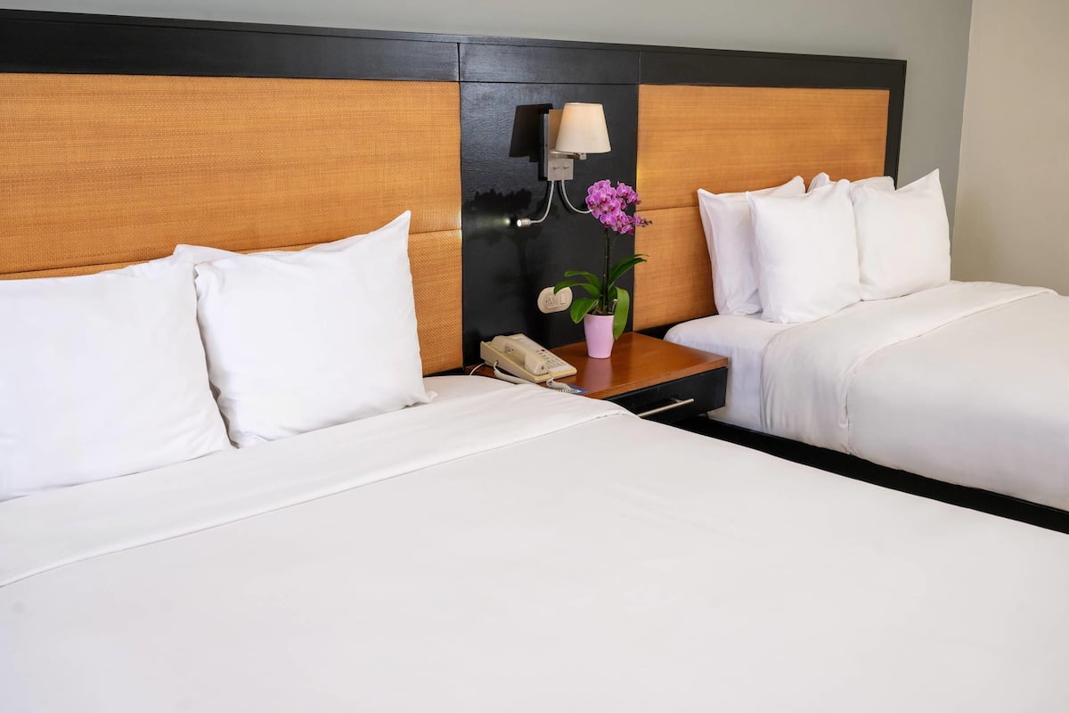 A hotel room with two beds, a nightstand, a lamp, a phone, and a potted orchid.
