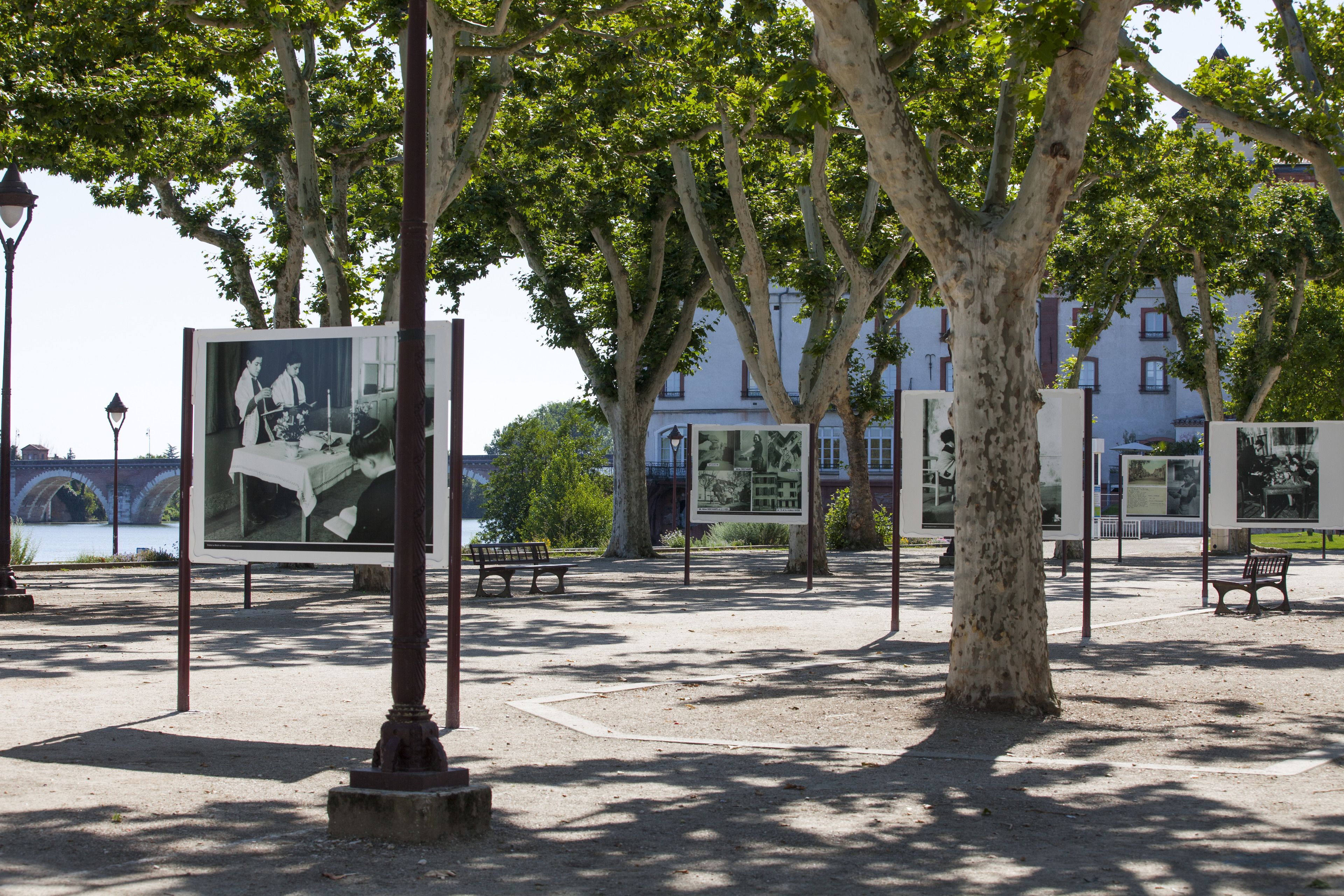 A park with benches, informational signs, and trees.