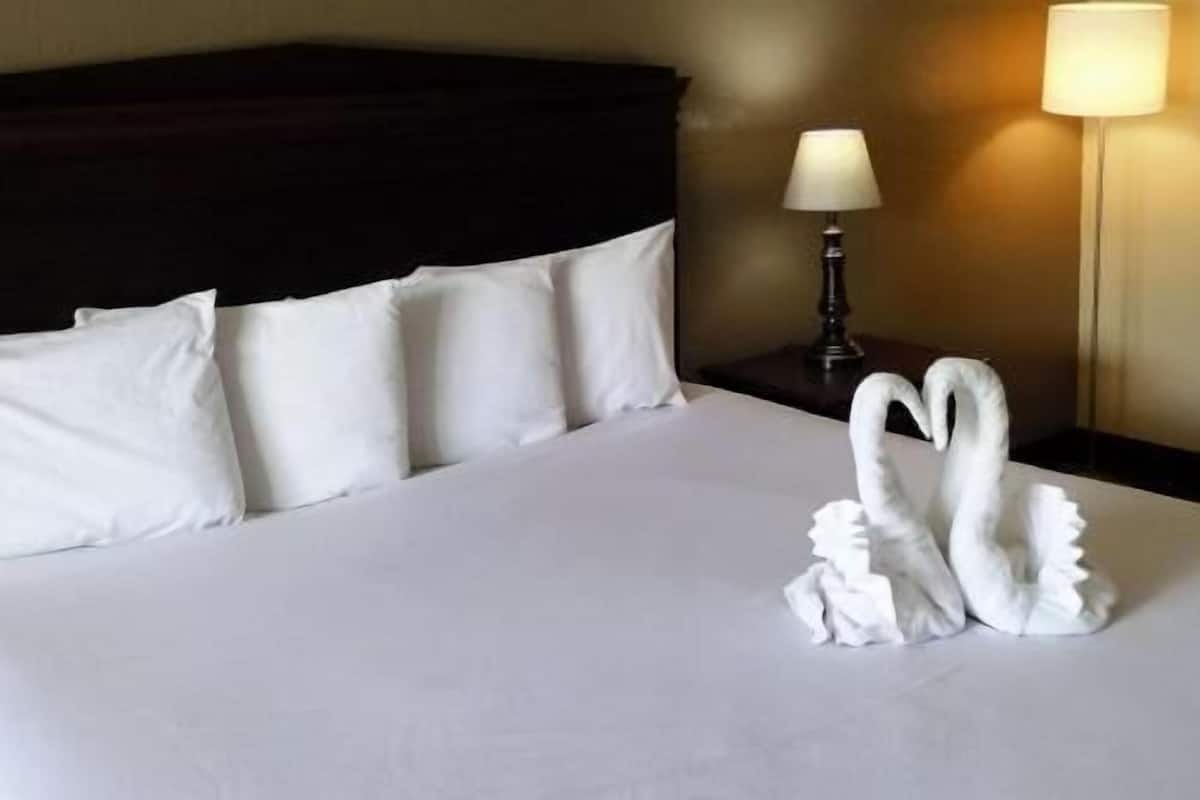 A neatly made bed with white linens and pillows, a dark headboard, and a lamp on the side.