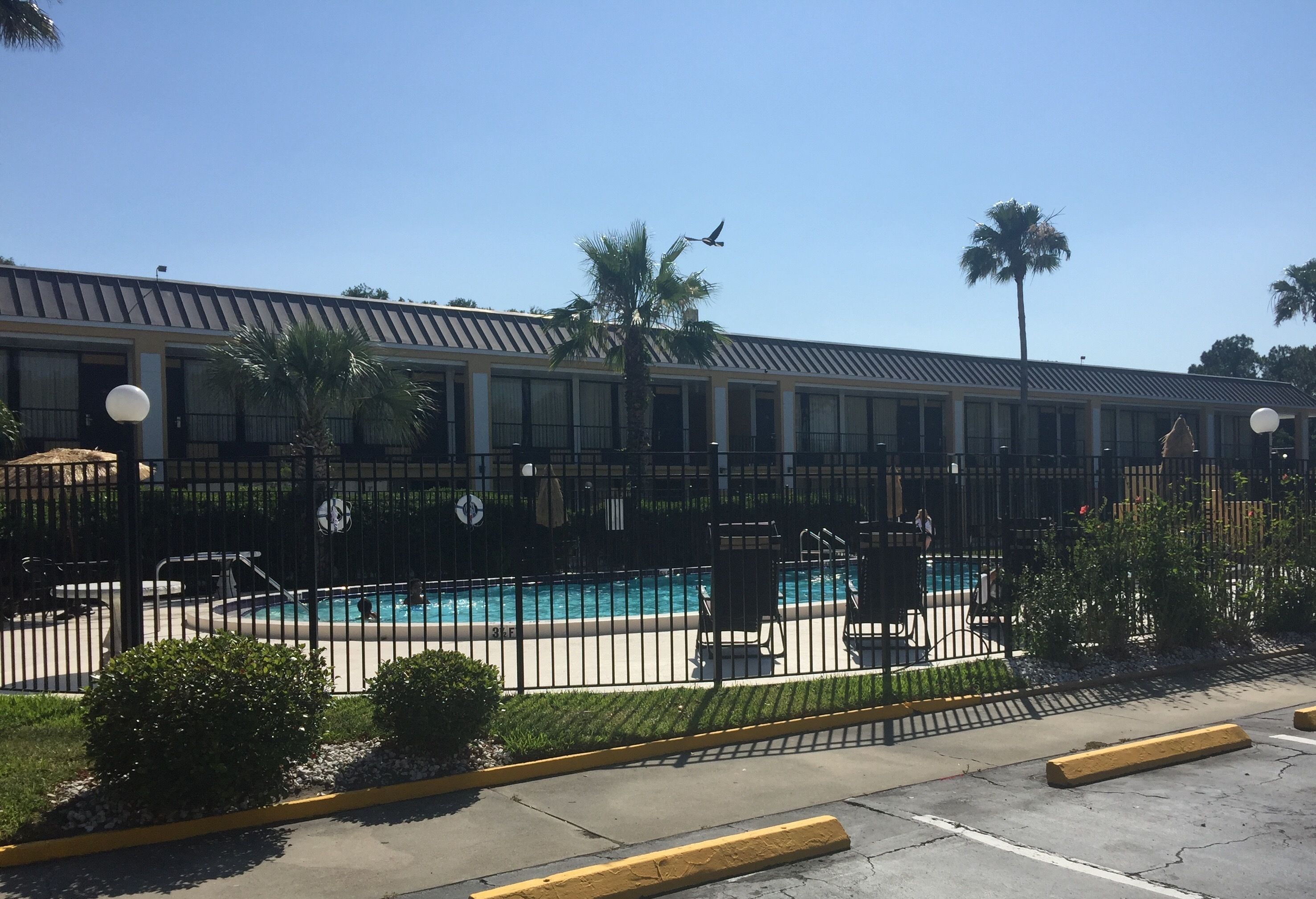 A hotel with a swimming pool, palm trees, and a fenced area.