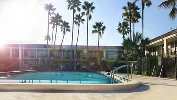 Outdoor pool, sun loungers