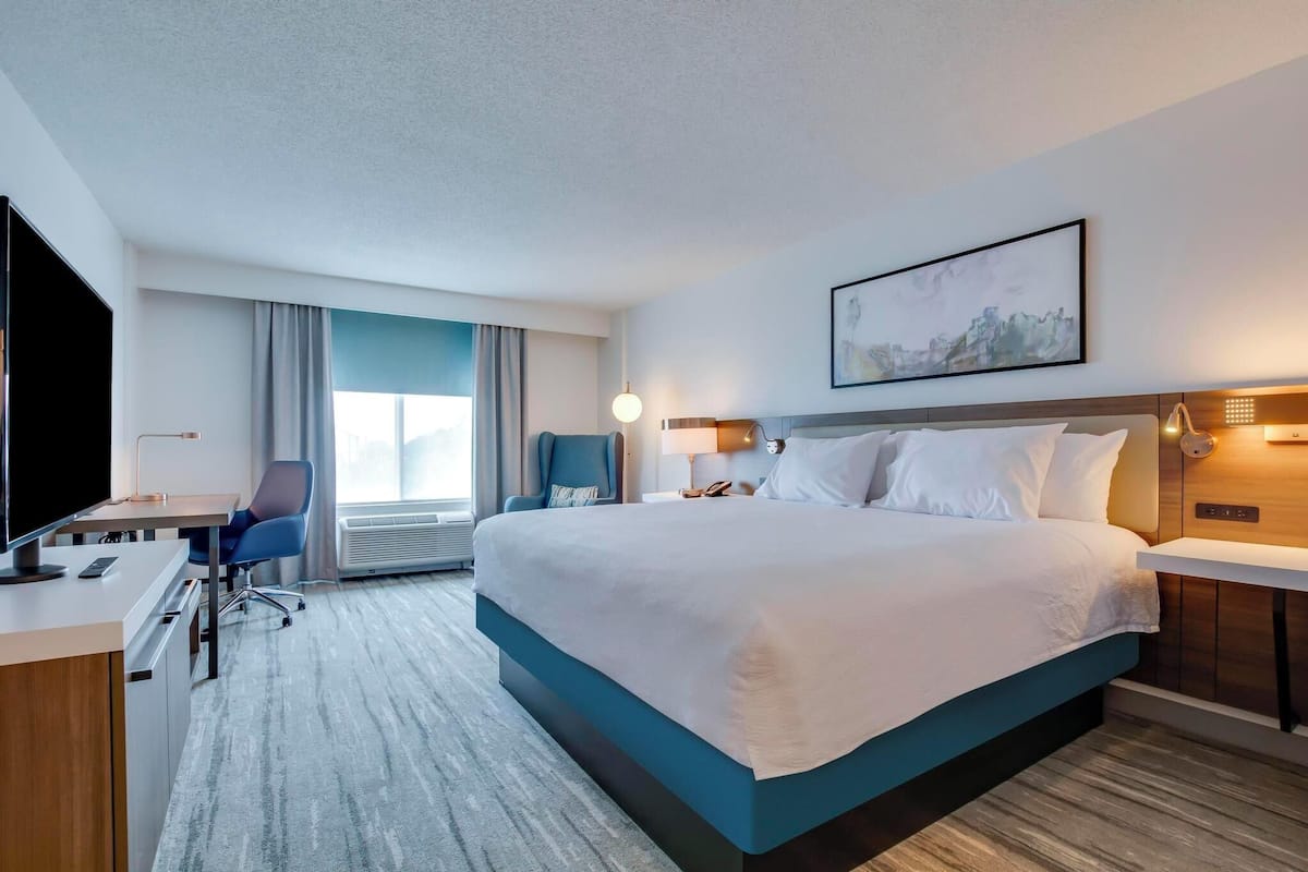 Room, 1 King Bed, Non Smoking
