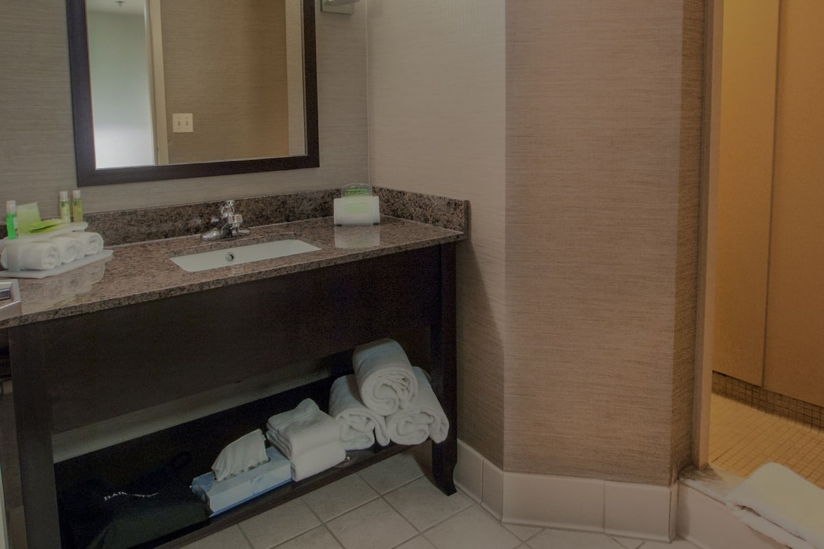 hair dryer, towels, soap, shampoo