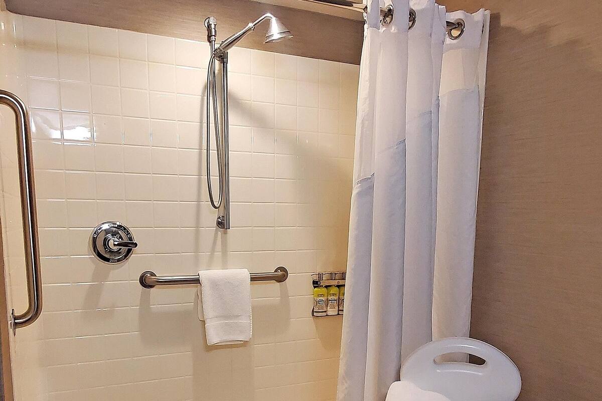 hair dryer, towels, soap, shampoo