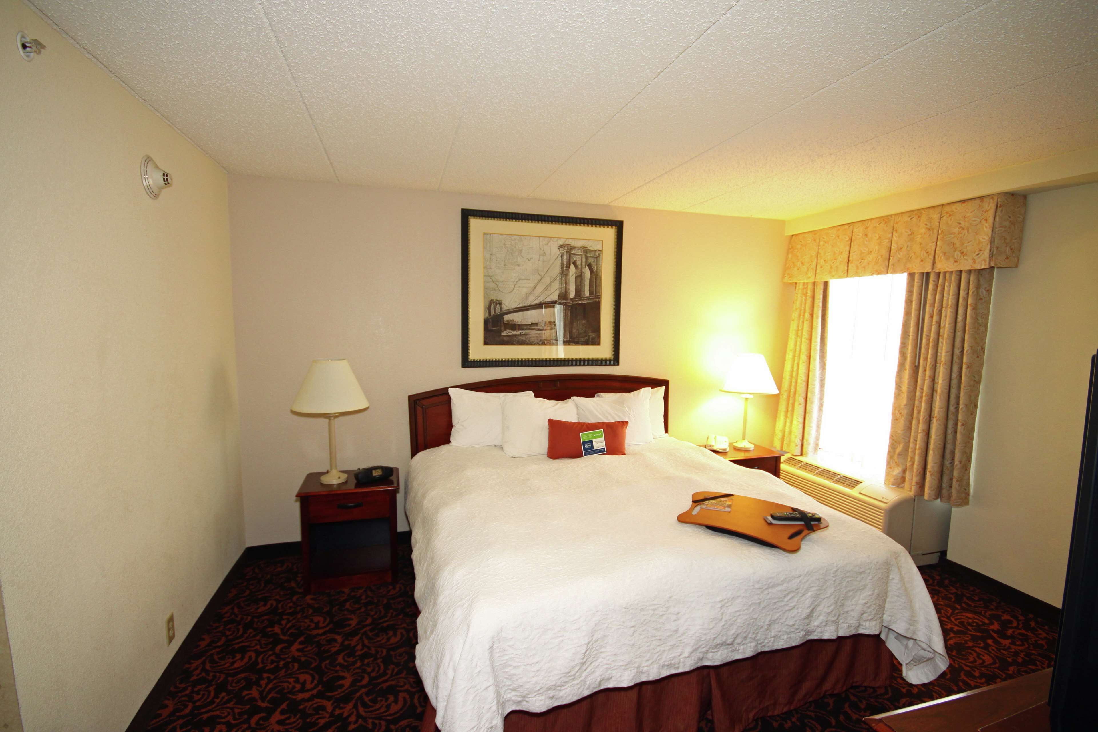 A hotel room with a large bed, two bedside tables, a framed picture on the wall, a window with curtains, and a carpeted floor.