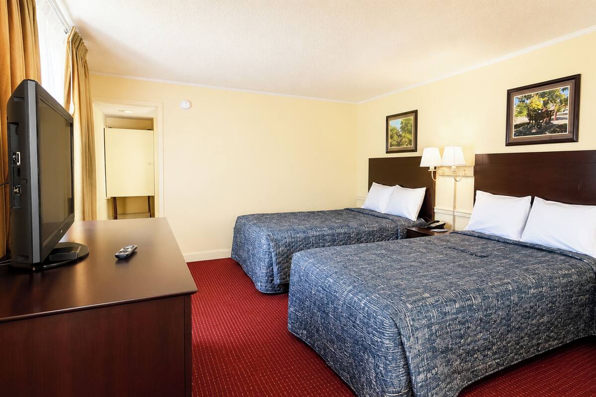 A hotel room with two beds, a TV, a desk, and a red carpet.