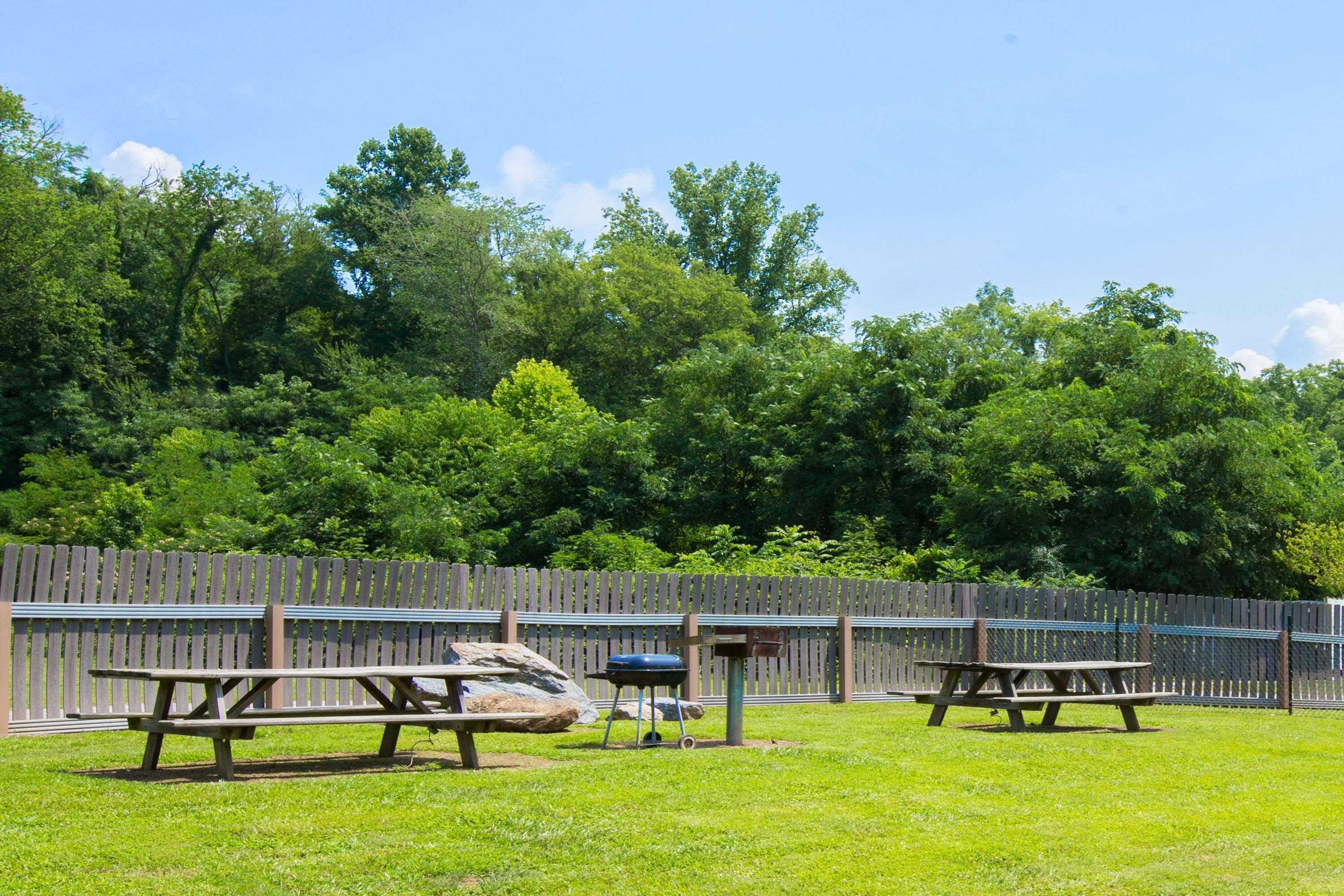 A picnic area with two picnic tables and a barbecue grill, surrounded by a wooden fence and lush greenery.