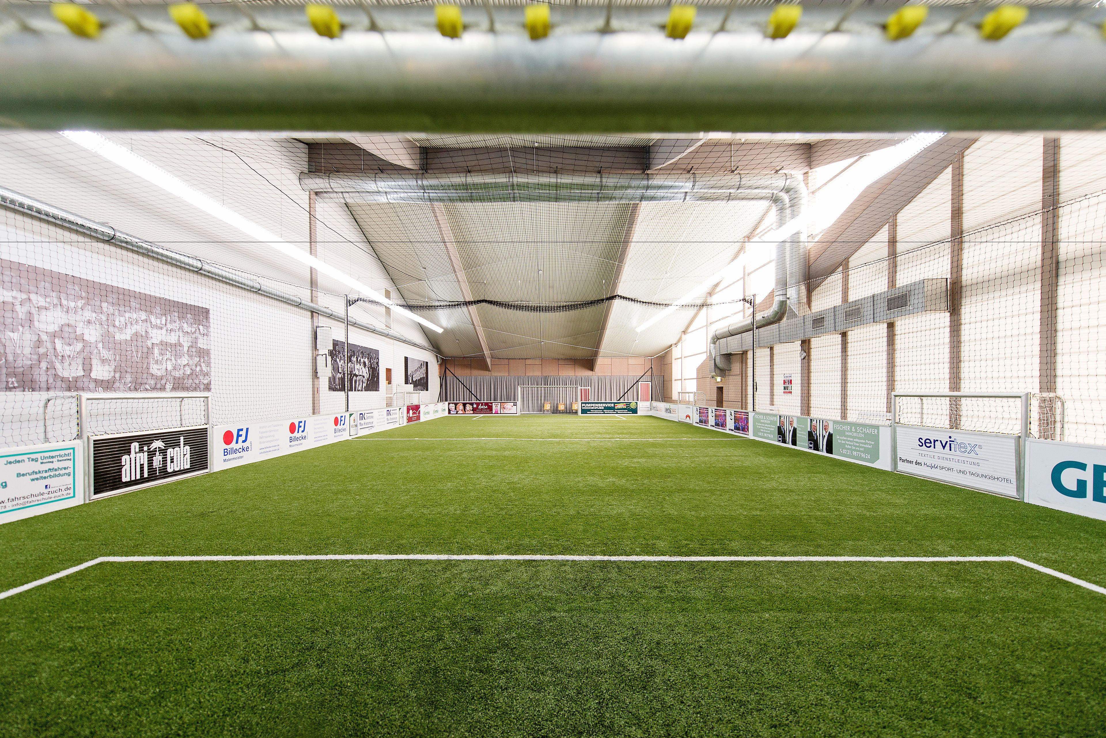 An indoor sports facility with artificial turf, a goalpost, and various advertisements on the walls.