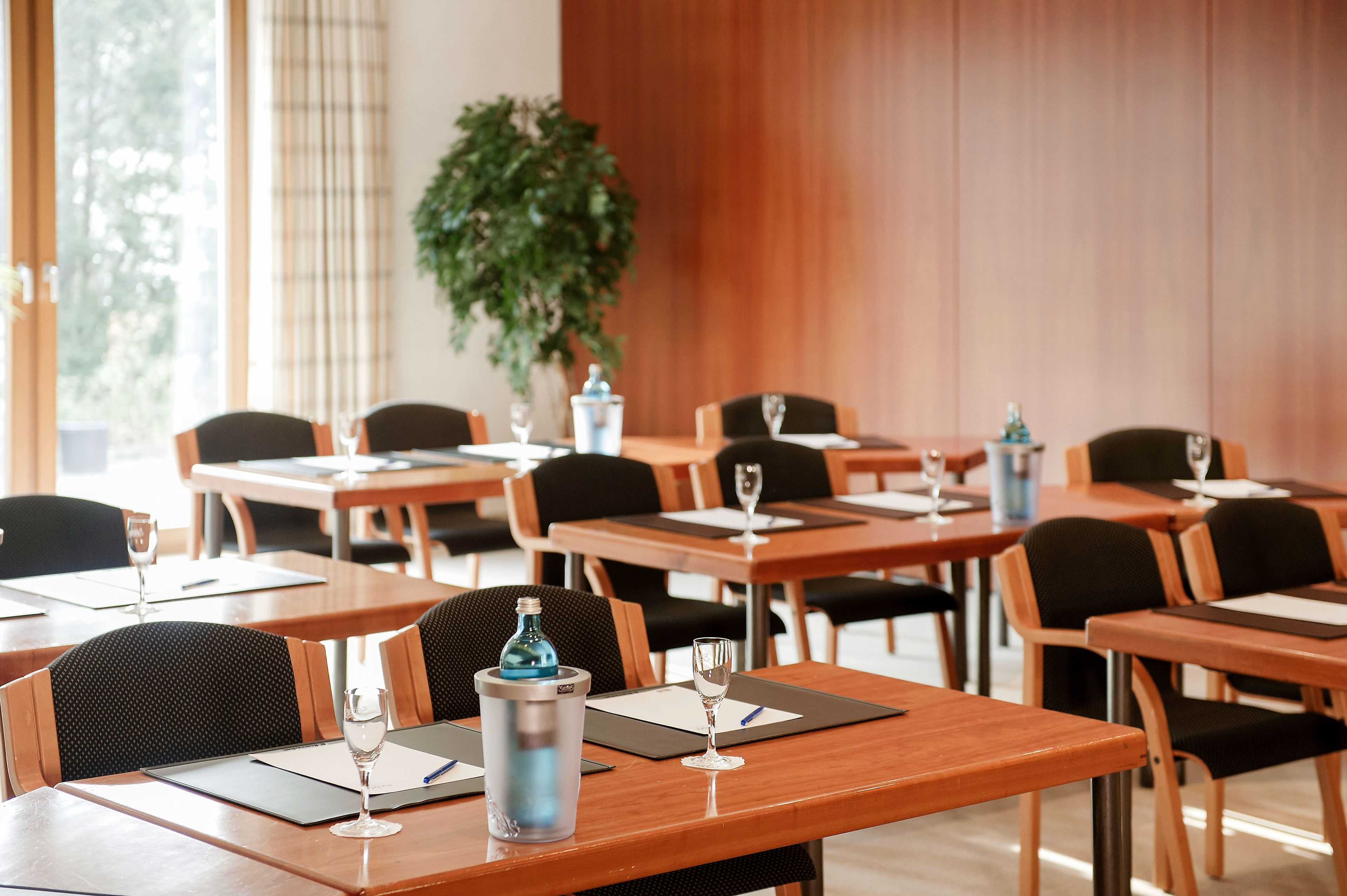 A conference room with wooden tables, black chairs, and a large potted plant.