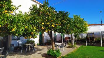 Terras