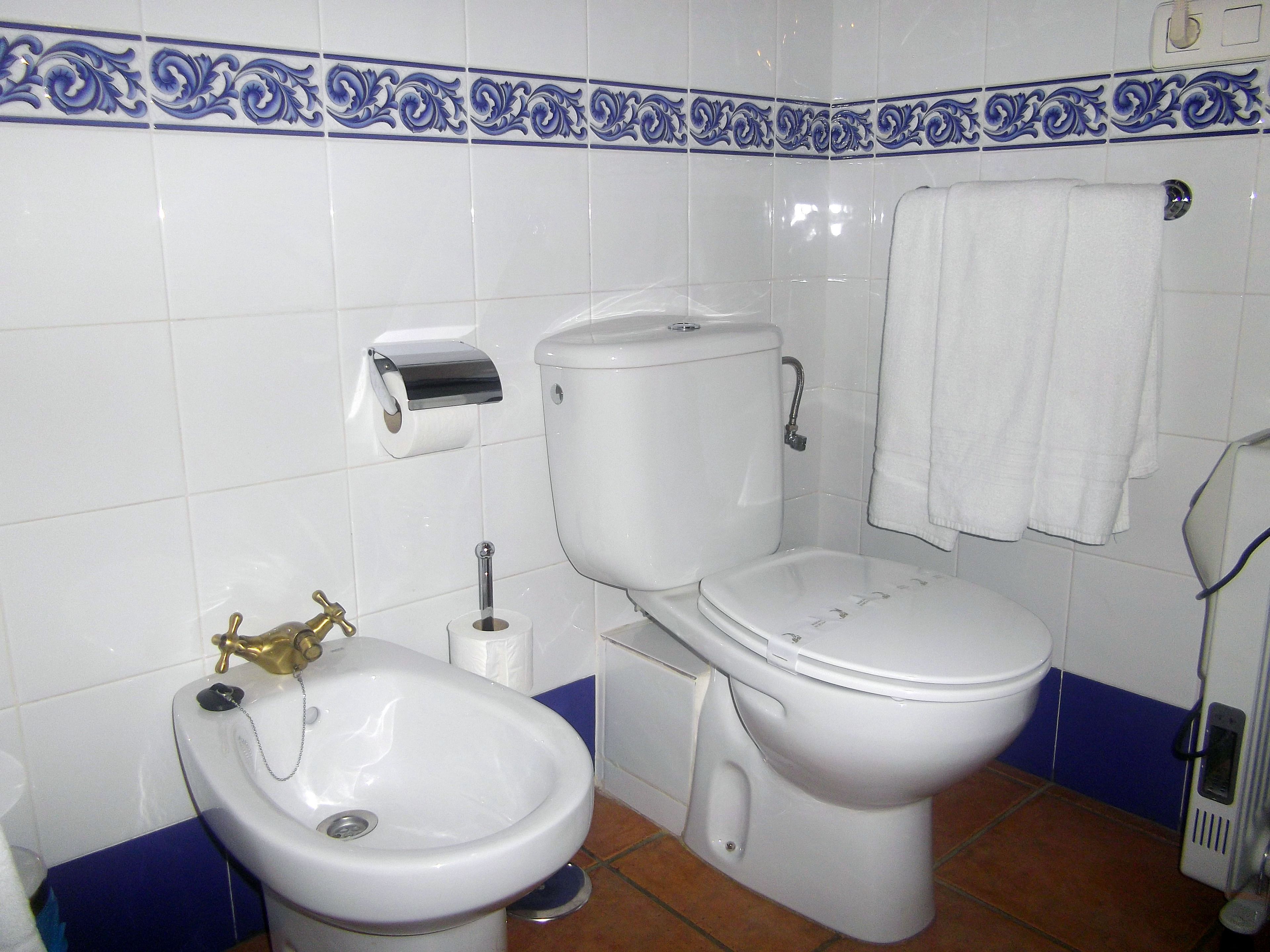 deep-soaking bathtub, free toiletries, hair dryer, bidet