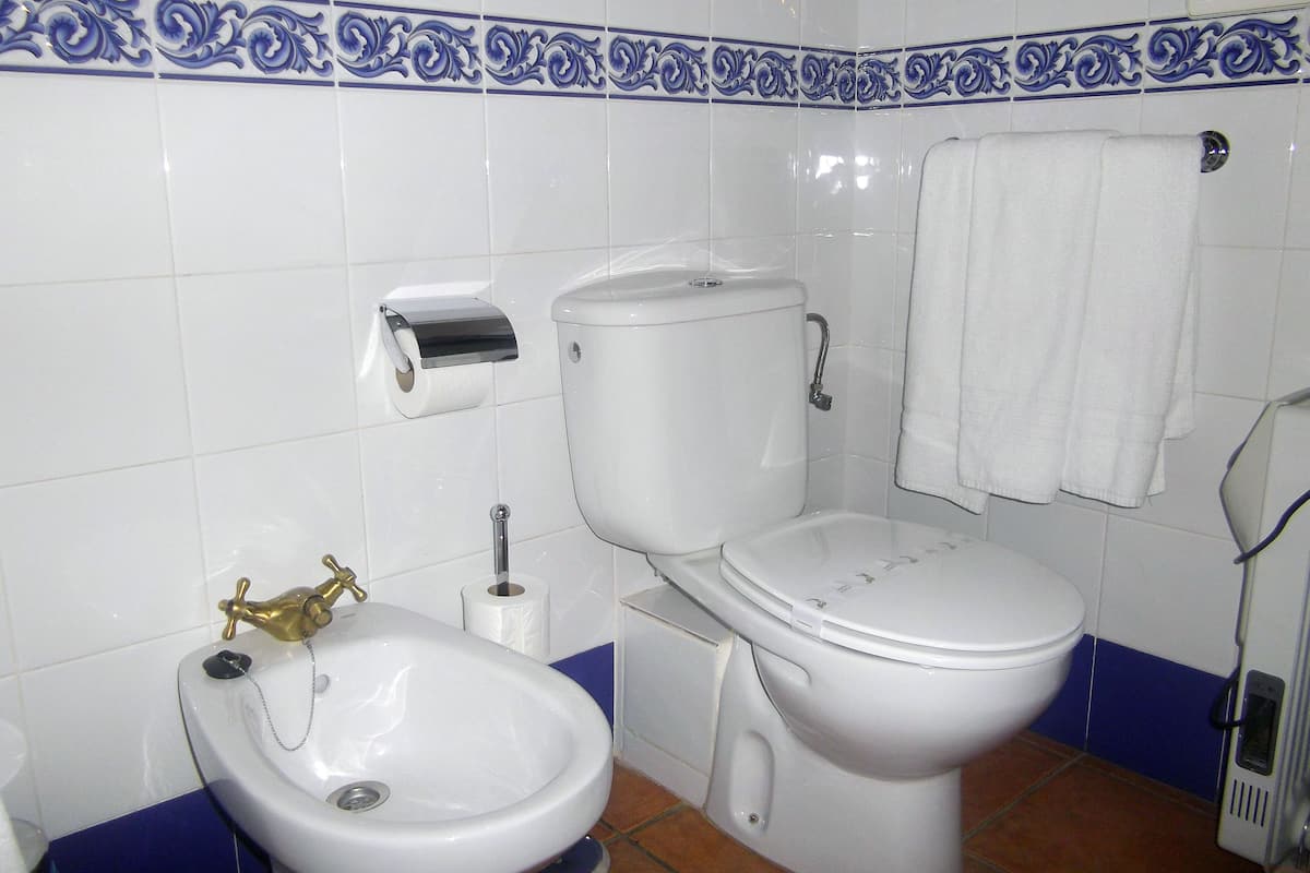 deep-soaking bathtub, free toiletries, hair dryer, bidet