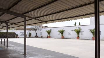 Zona exterior coberta amb sòl de formigó, plantes en testos i paret blanca amb quadres.