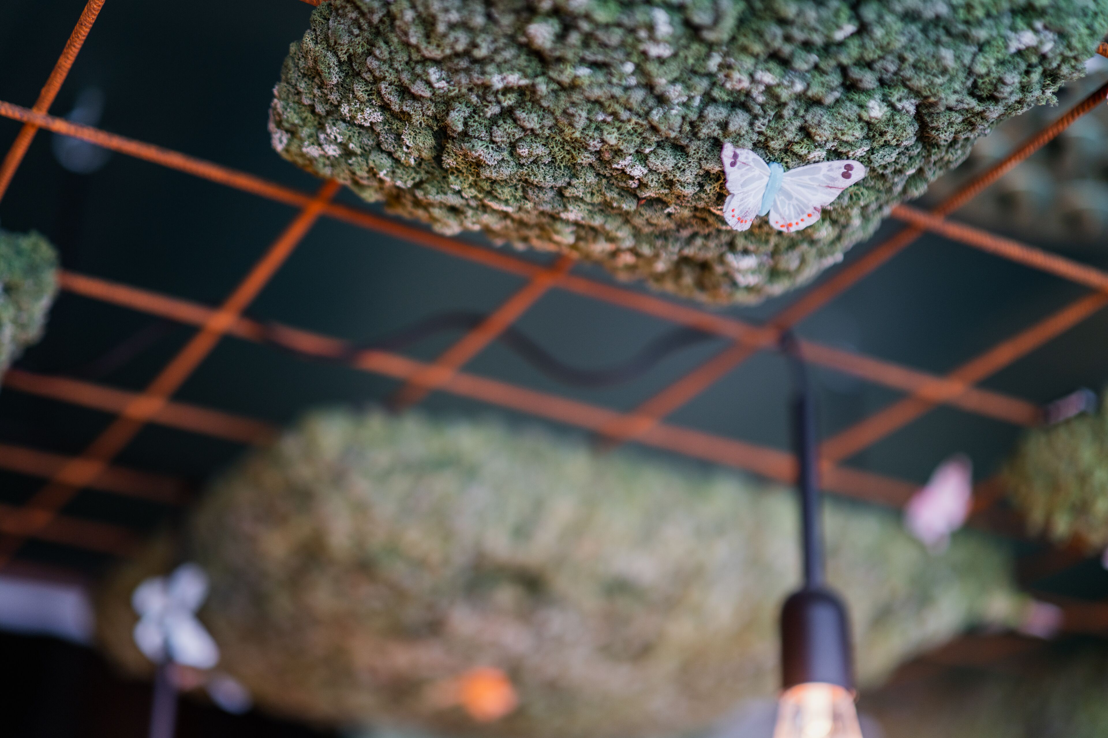 A close-up of a textured ceiling with a hanging light fixture and a butterfly.