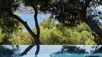 A clear view of a swimming pool with a reflection of trees and a distant boat on the water.