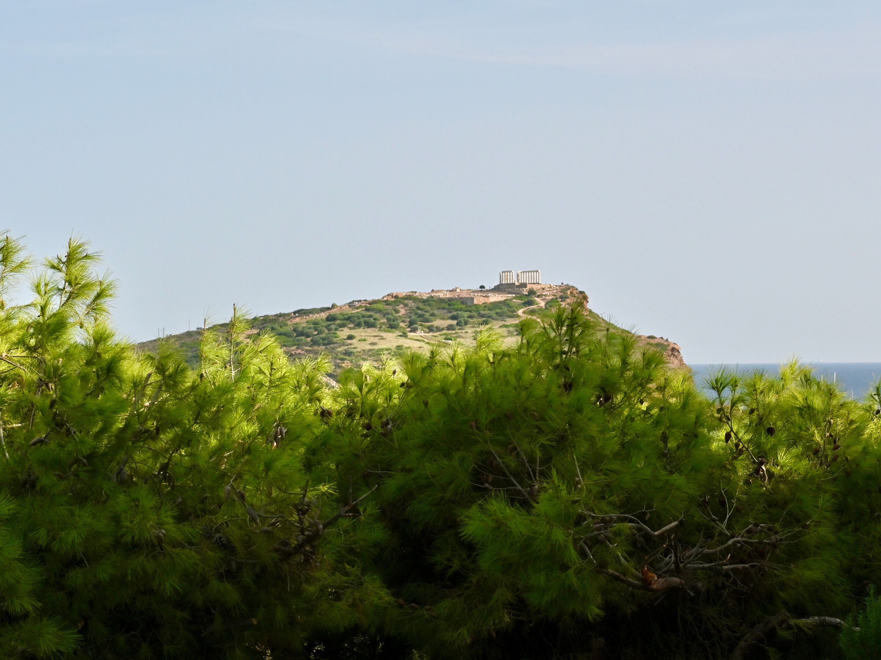 A hilltop with ancient ruins, surrounded by dense green pine trees.