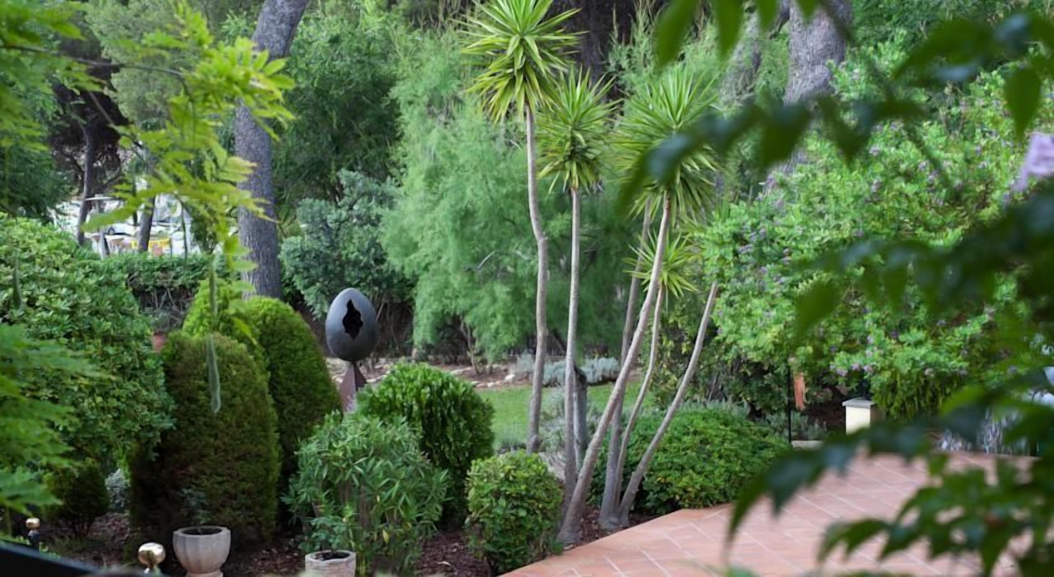 Un jardín con diversas plantas y un sendero.