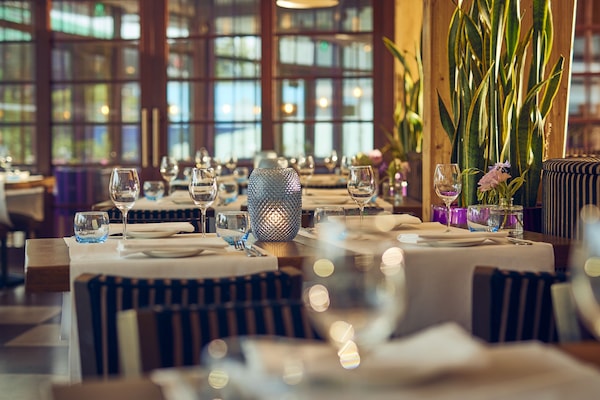Se sirven desayunos y cocina internacional, con vista al jardín