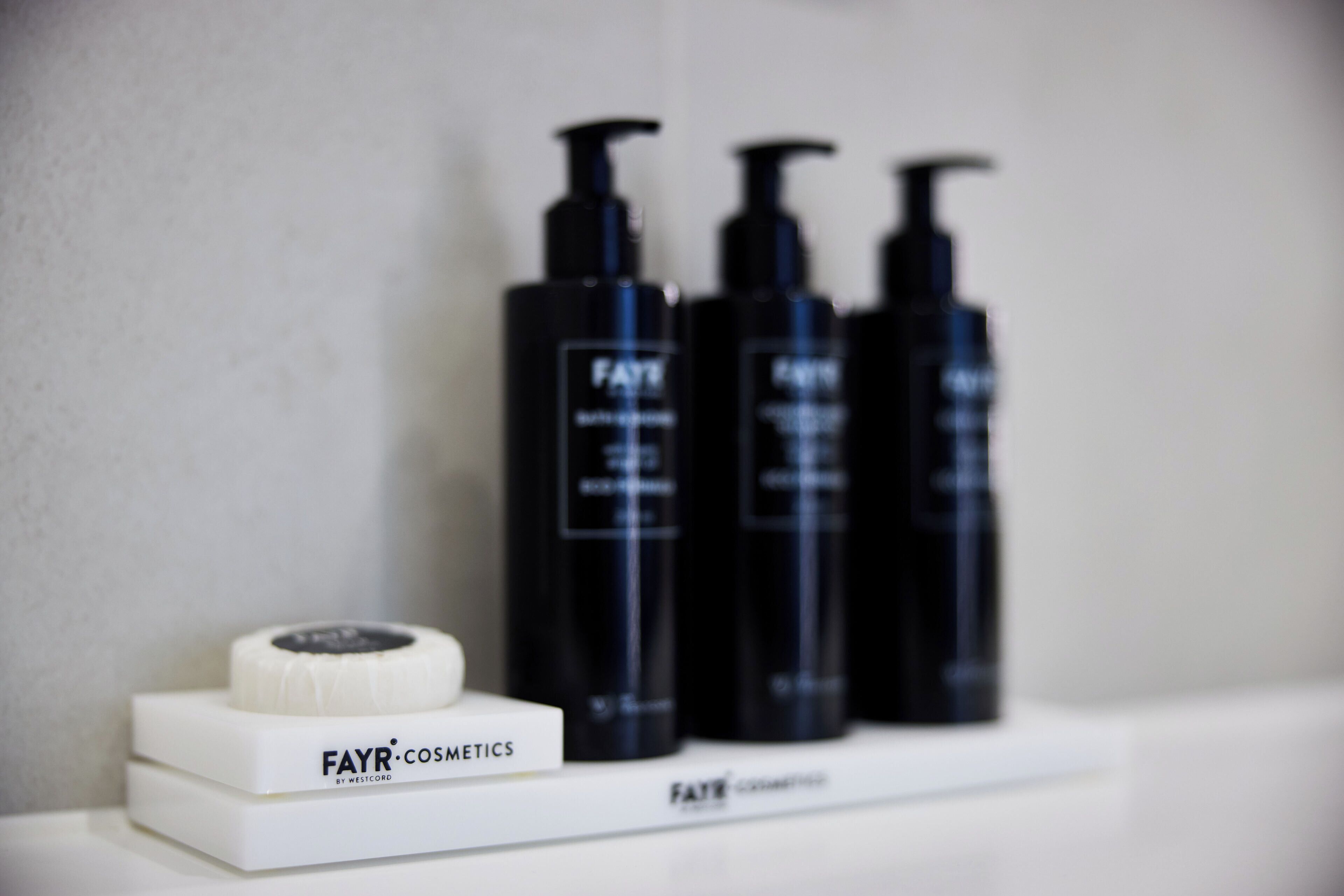 hair dryer, towels, soap, shampoo