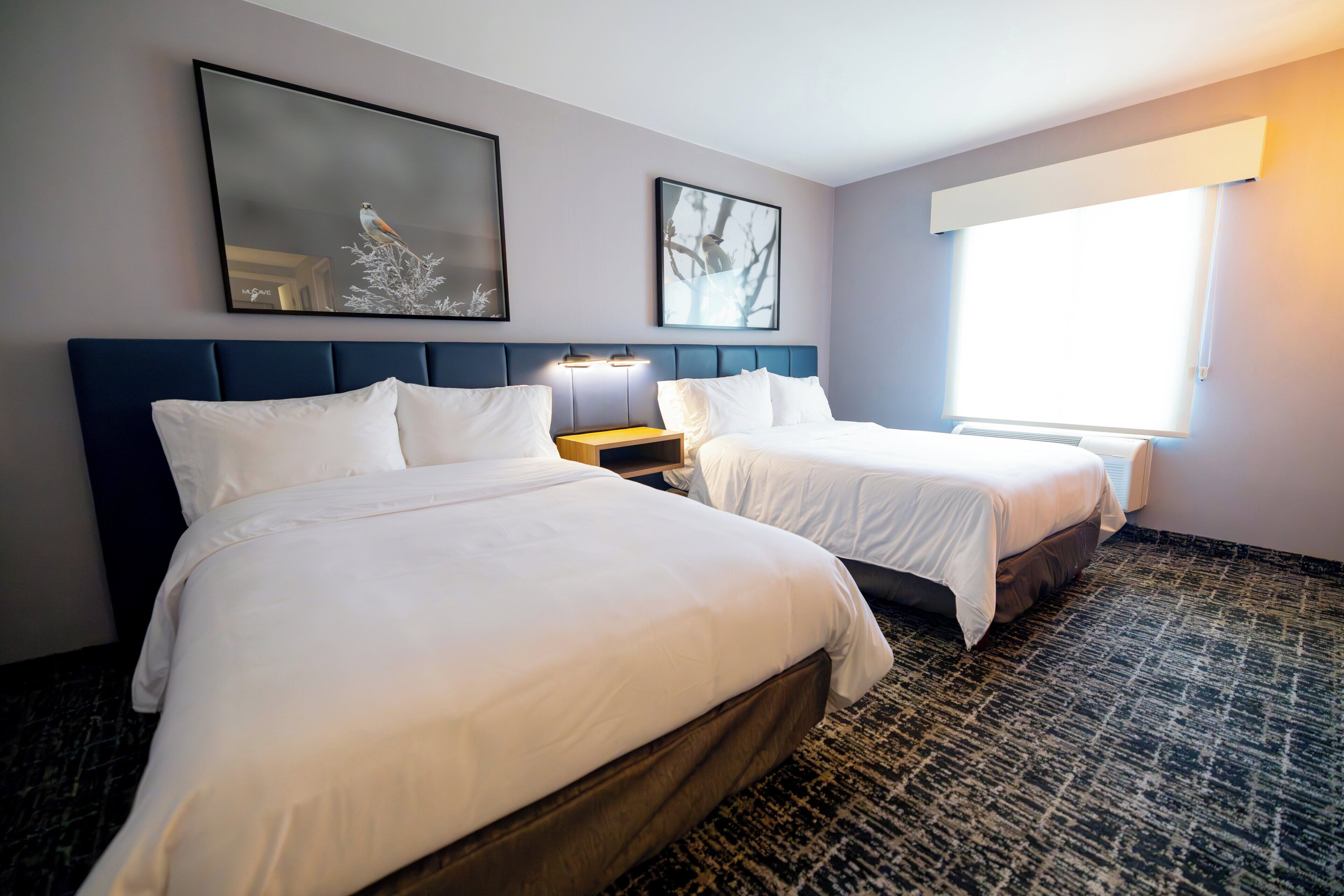 suite, 2 double beds | 1 bedroom, in-room safe, desk, free cots/infant beds