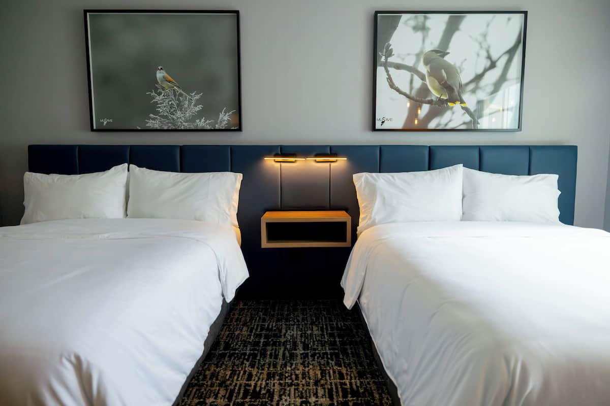 Suite, 2 Double Beds