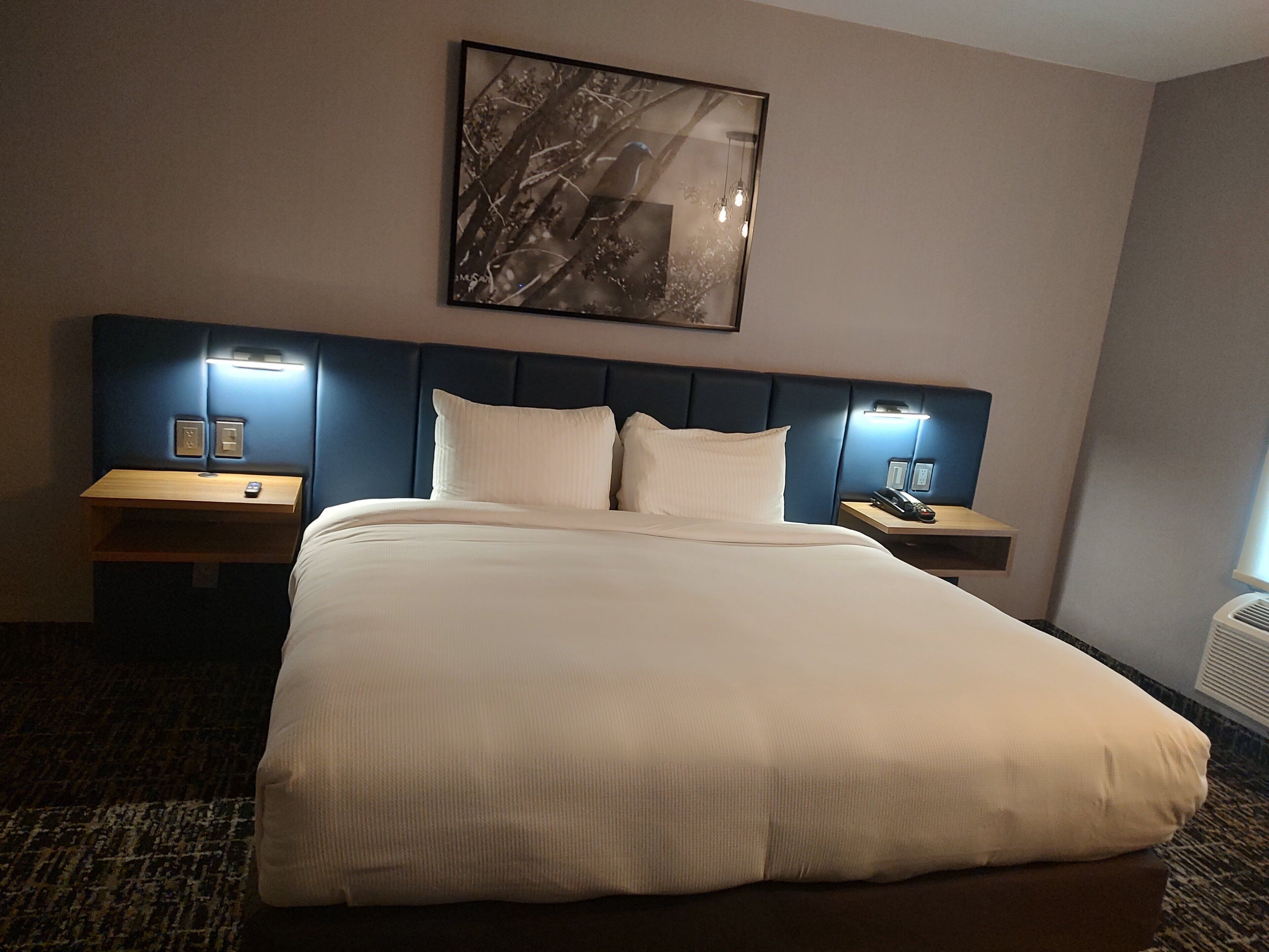 Une chambre d’hôtel avec un grand lit, deux tables de chevet, une œuvre d’art accrochée au mur et un radiateur fixé au mur.