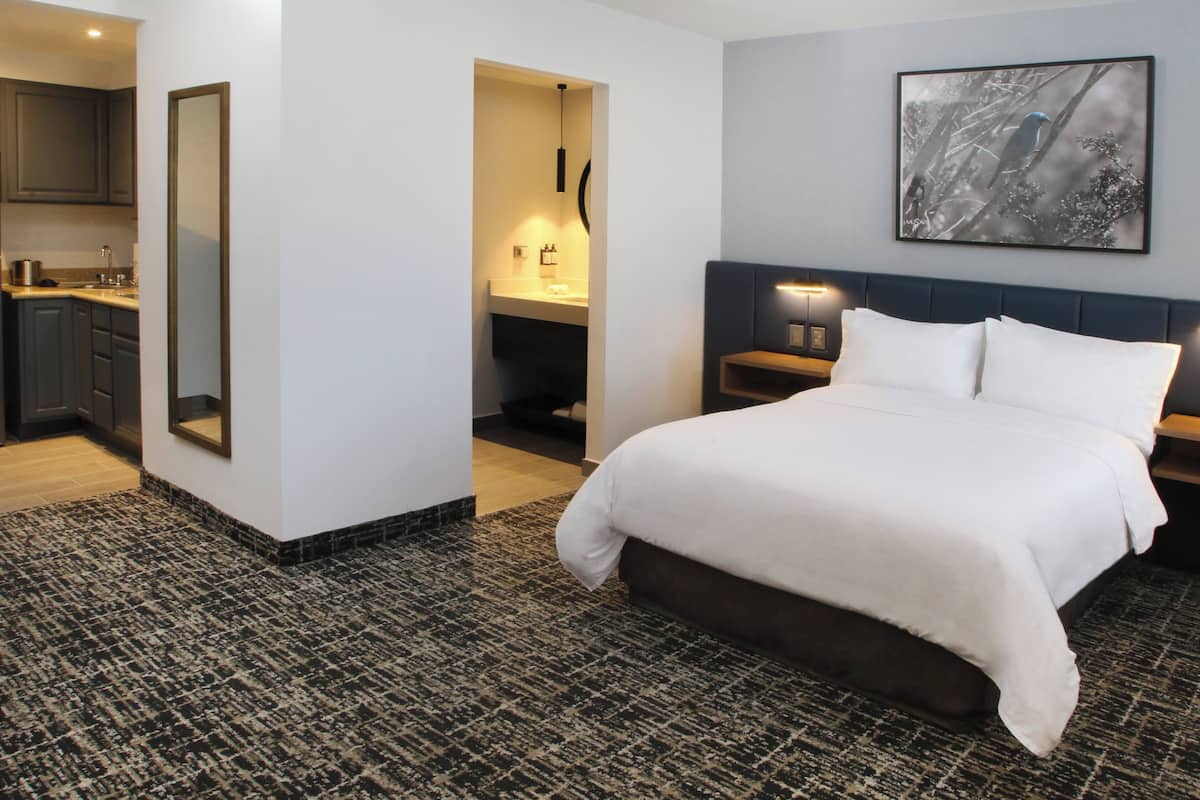 Suite, 1 Queen Bed
