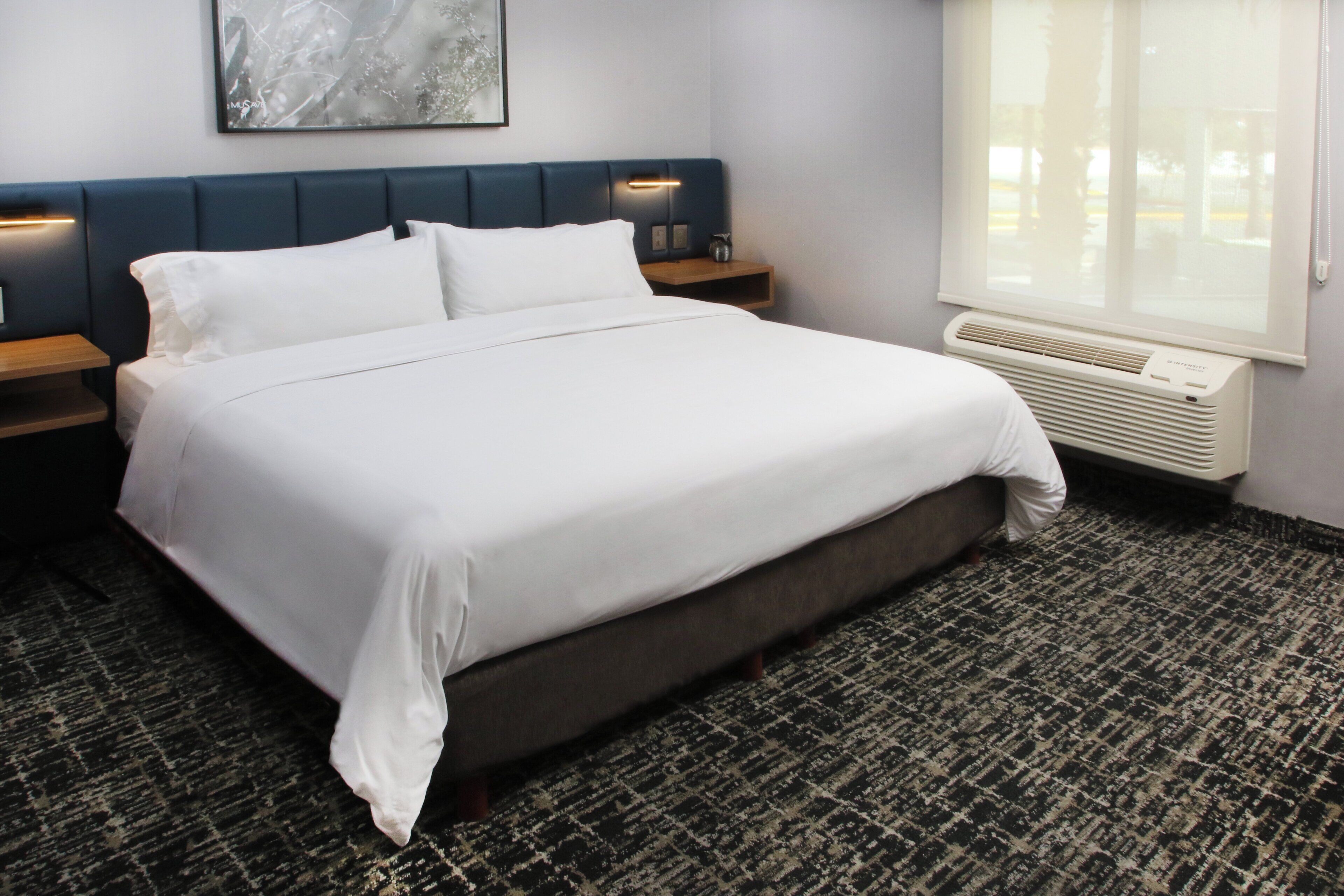 Suite, 1 cama Queen size | Caja de seguridad en la habitación, escritorio y cunas gratuitas 