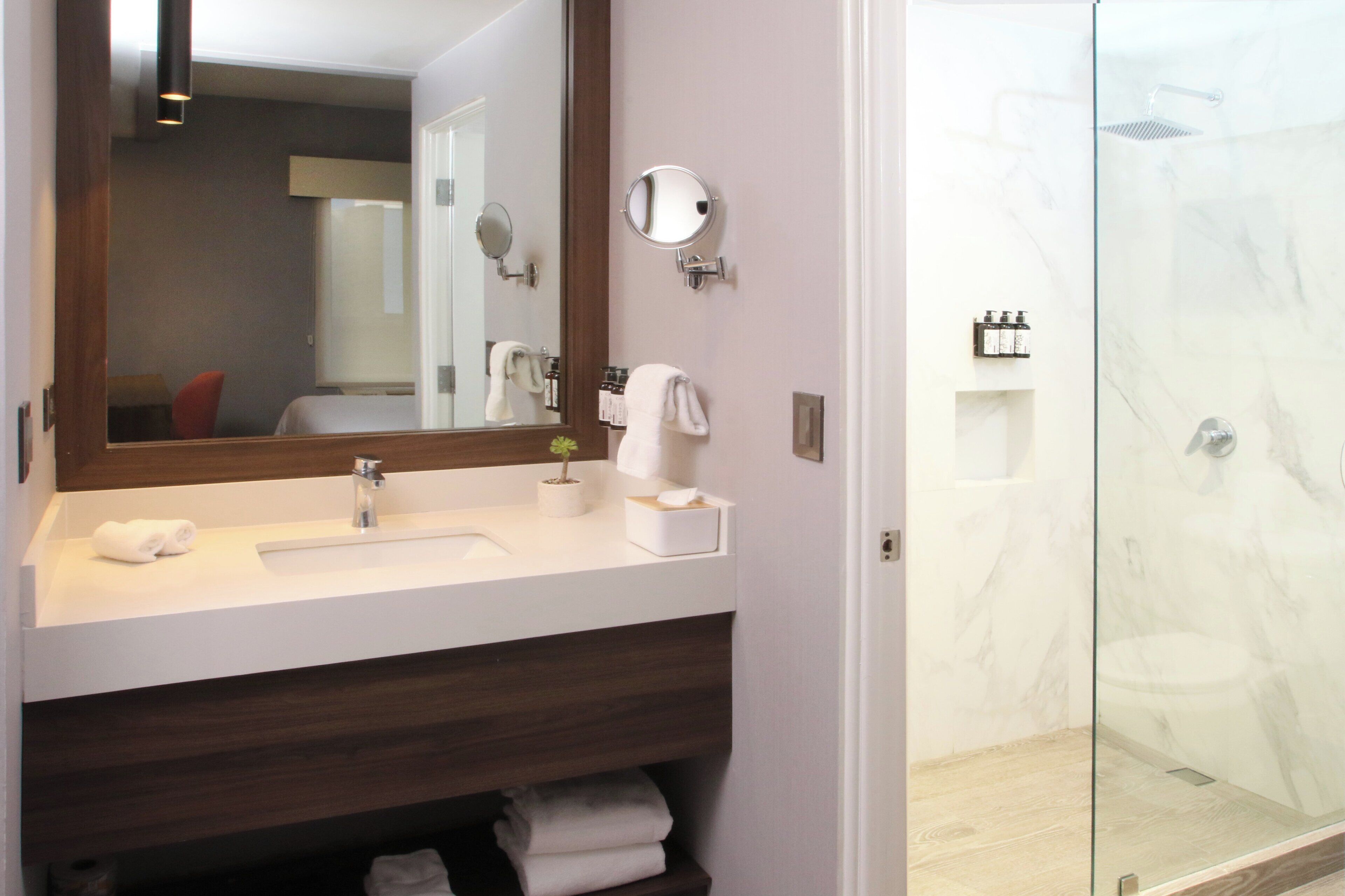 A bathroom with a white sink, a mirror, a small potted plant, and a glass shower enclosure.