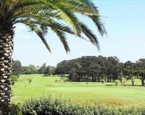 Golf view
