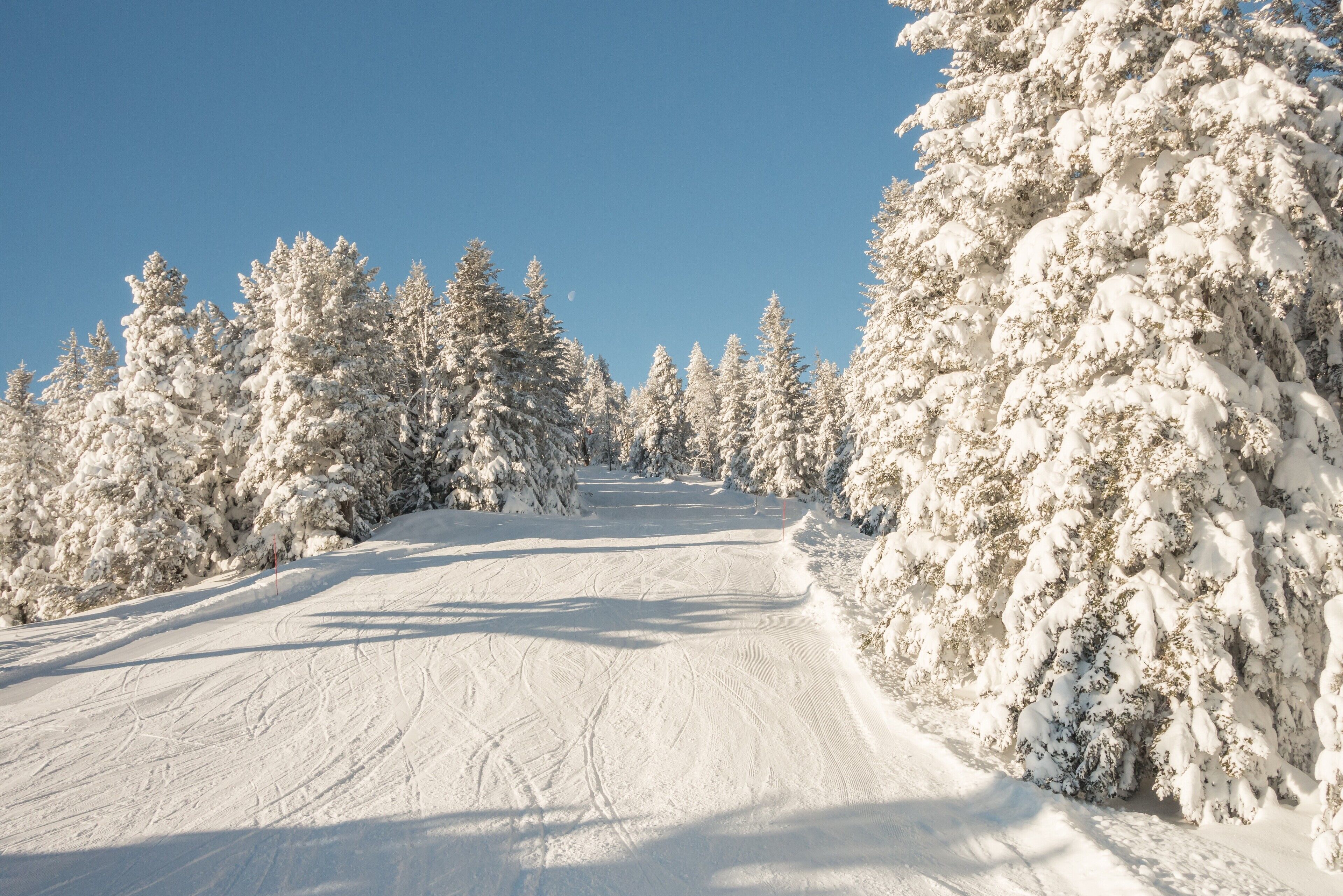 A snow-covered ski slope with trees on either side.