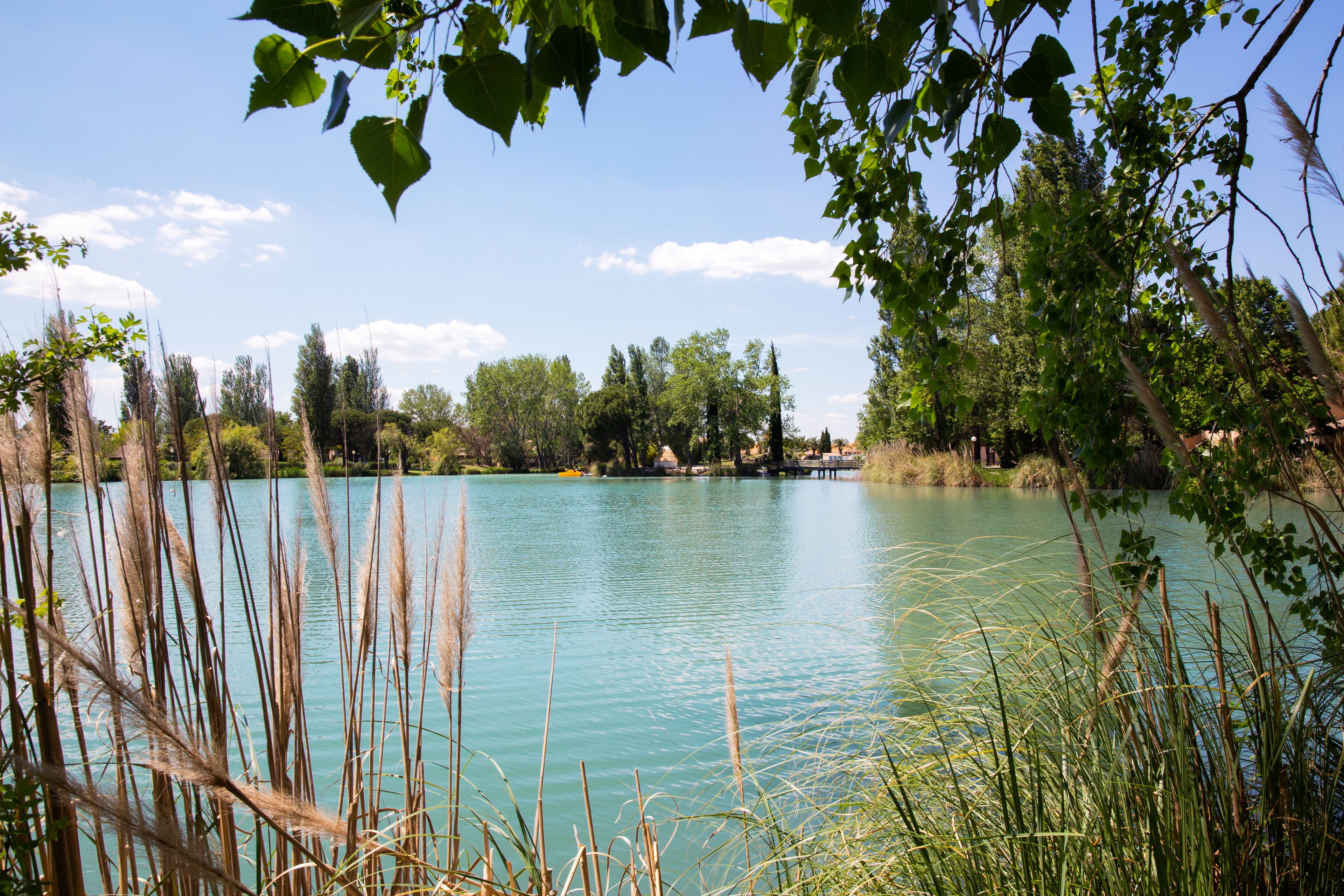 Foto - SOWELL HOTELS L'Olivier