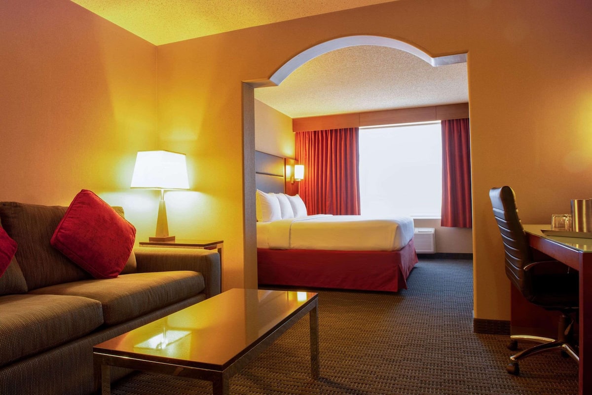A hotel room with a bed, a sofa, a desk, and a lamp.