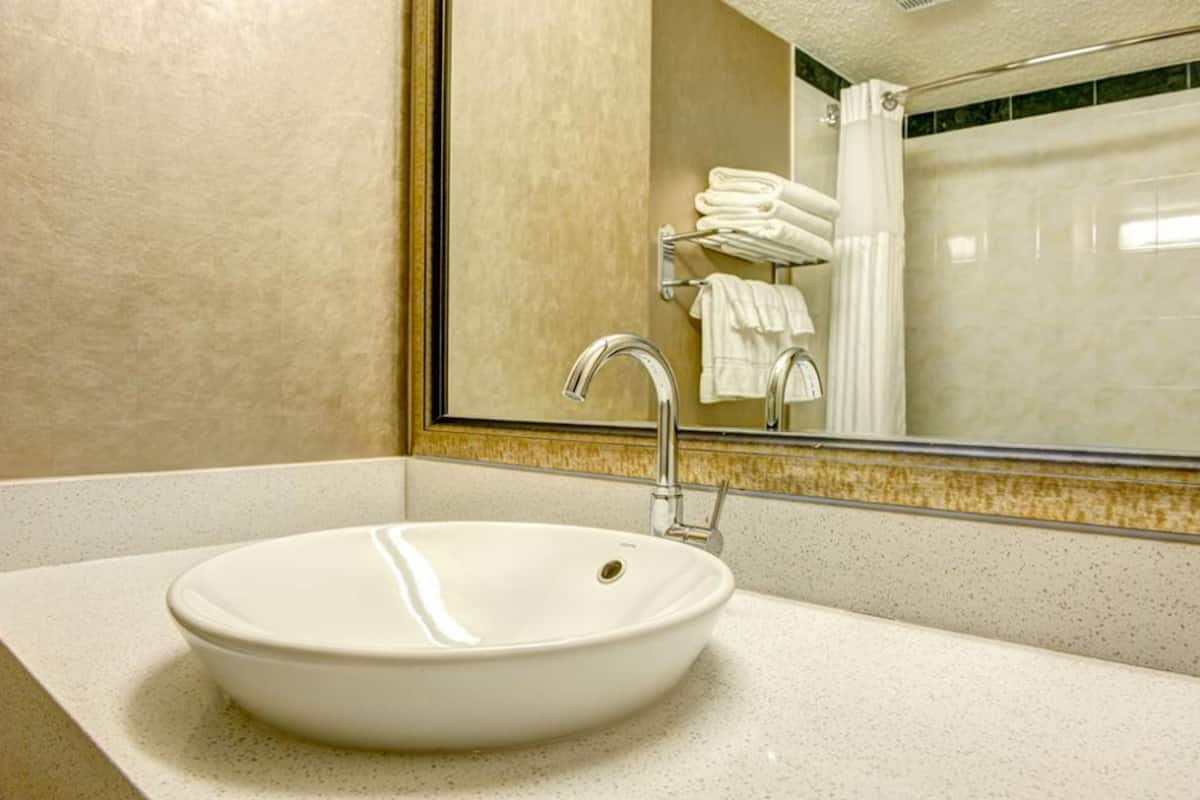 combined shower/bathtub, free toiletries, hair dryer, towels