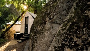 A tent with a door marked '469' and a staircase leading up to it, surrounded by trees and rocky terrain.