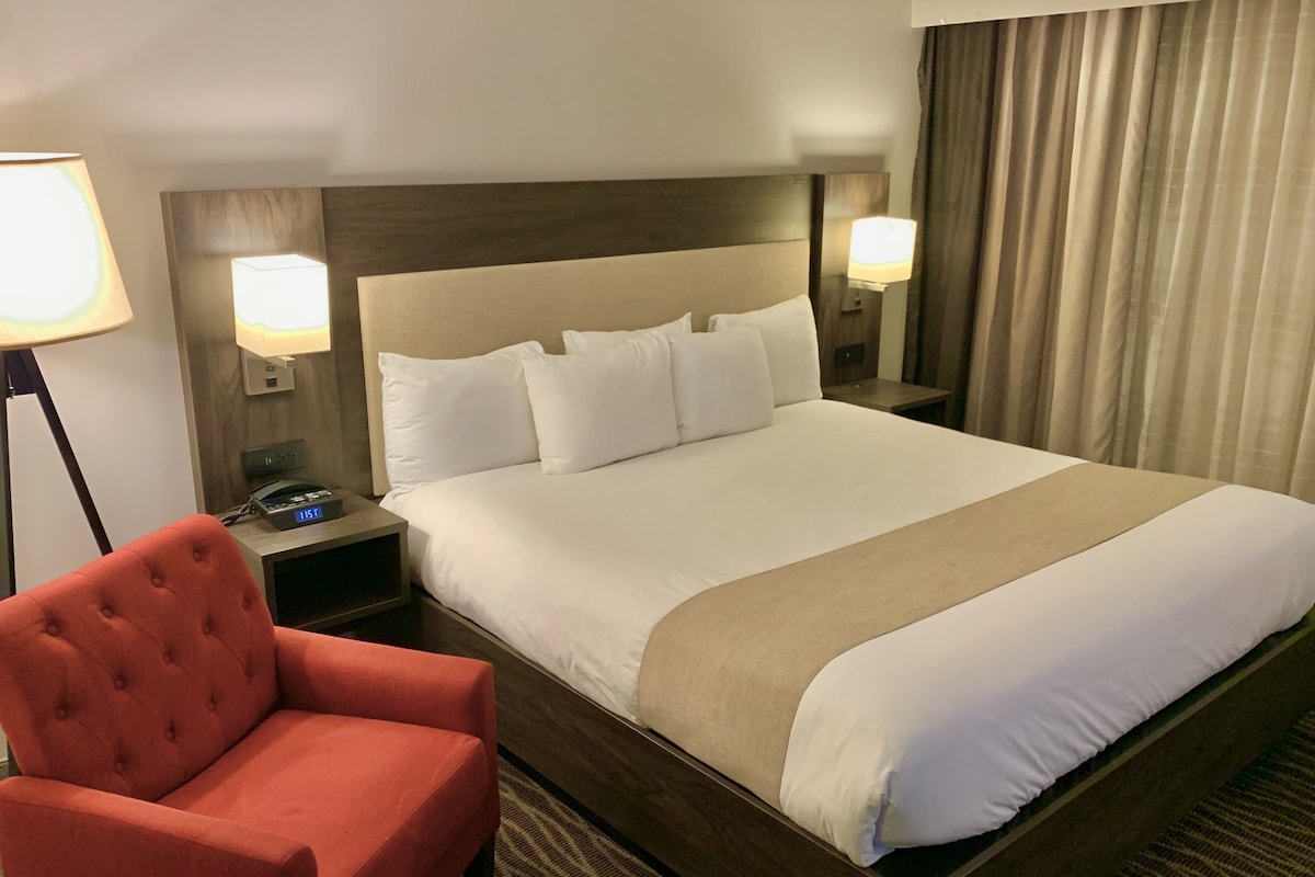A hotel room with a large bed, a red armchair, two bedside lamps, and a nightstand with a phone and a clock.