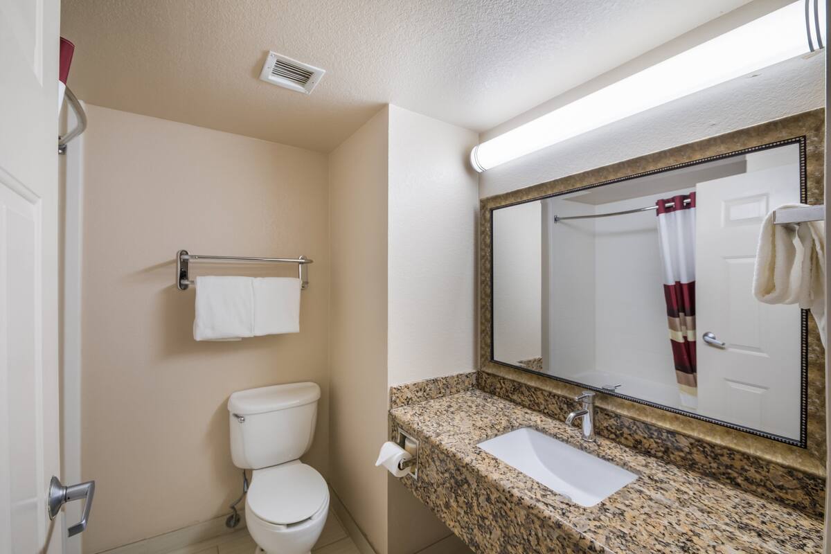 A bathroom with a toilet, sink, and mirror.