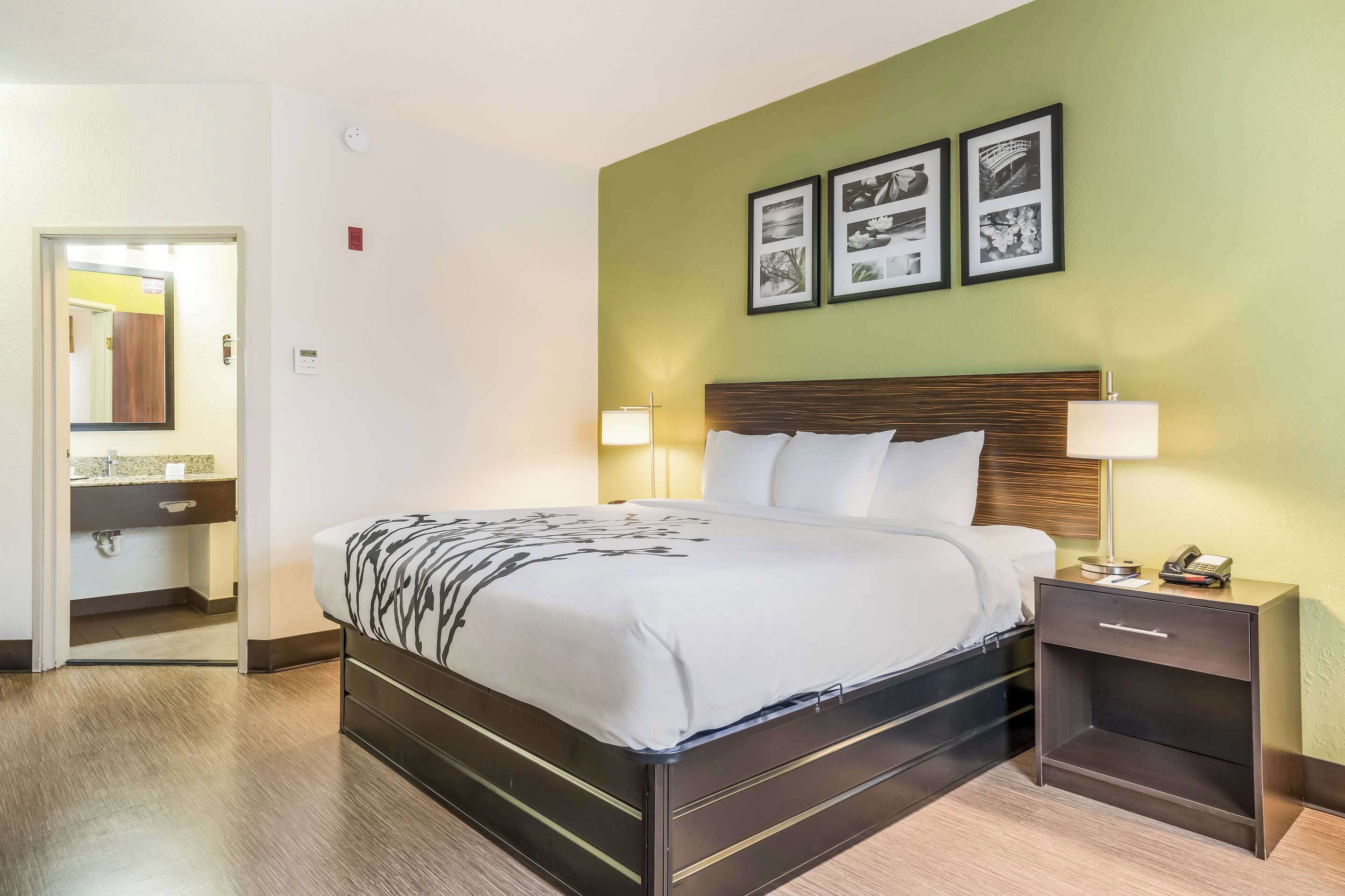 standard room, 1 king bed, non smoking | 1 bedroom, desk, laptop workspace, iron/ironing board