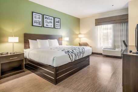 Camera Standard, 1 letto king, non fumatori | Una scrivania, postazione laptop, ferro/asse da stiro