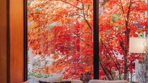 A modern living room with a large window offering a view of autumn foliage. - Amara Resort and Spa (Sedona)