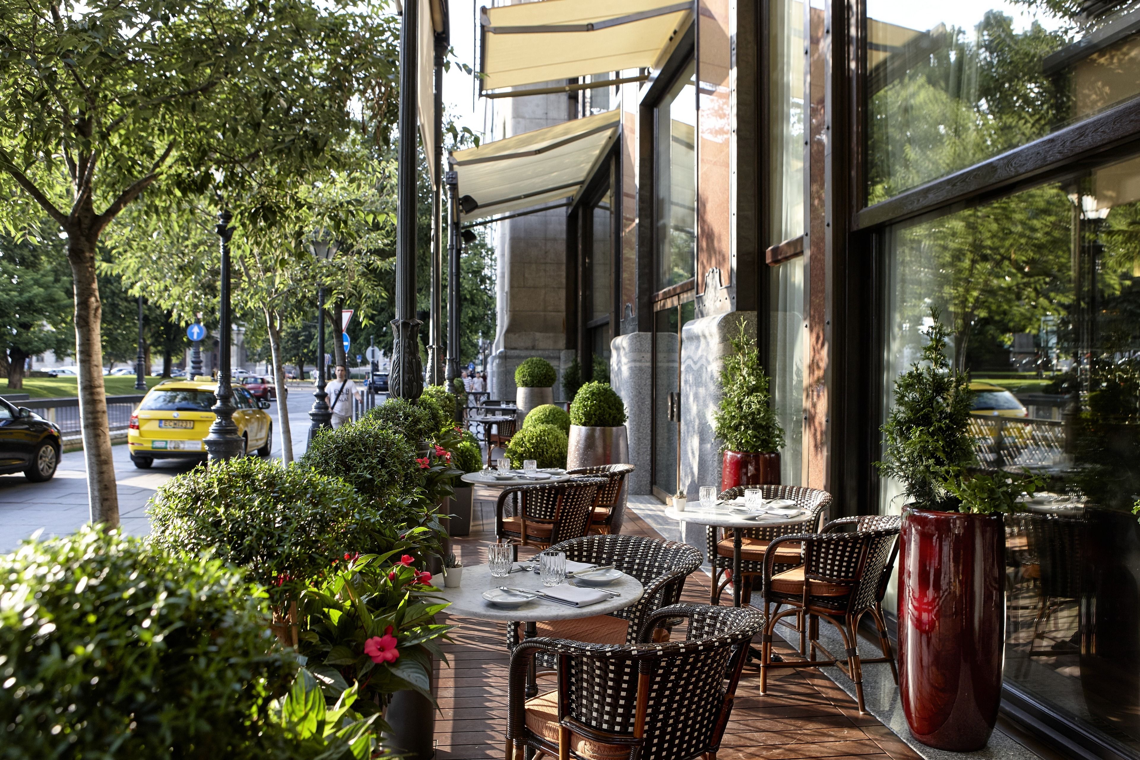 An outdoor seating area with tables and chairs, surrounded by potted plants and a large window.