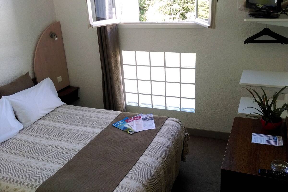 A hotel room with a bed, a window, a desk with a lamp, and a plant.