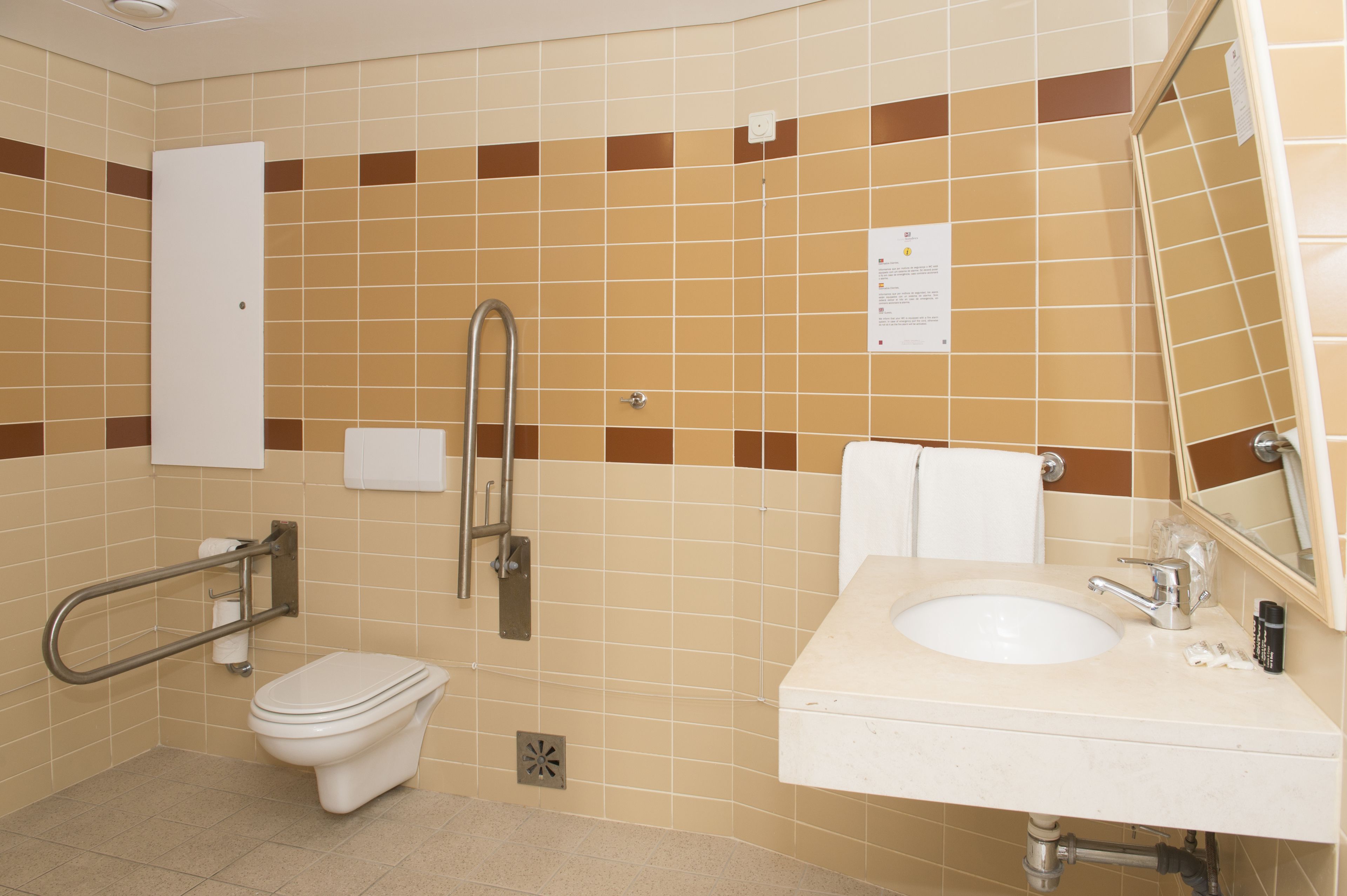 A bathroom with a toilet, a sink, a mirror, and a shower.